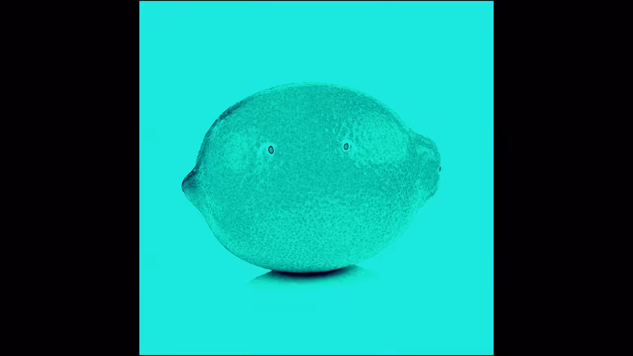 Fruits [this is a lemon]