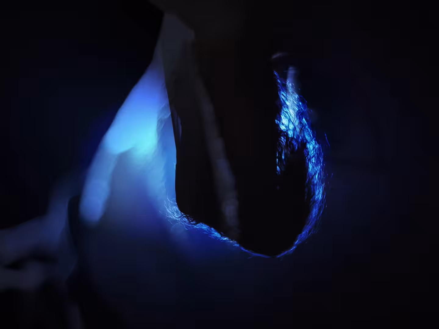 mind warp - pp video #1