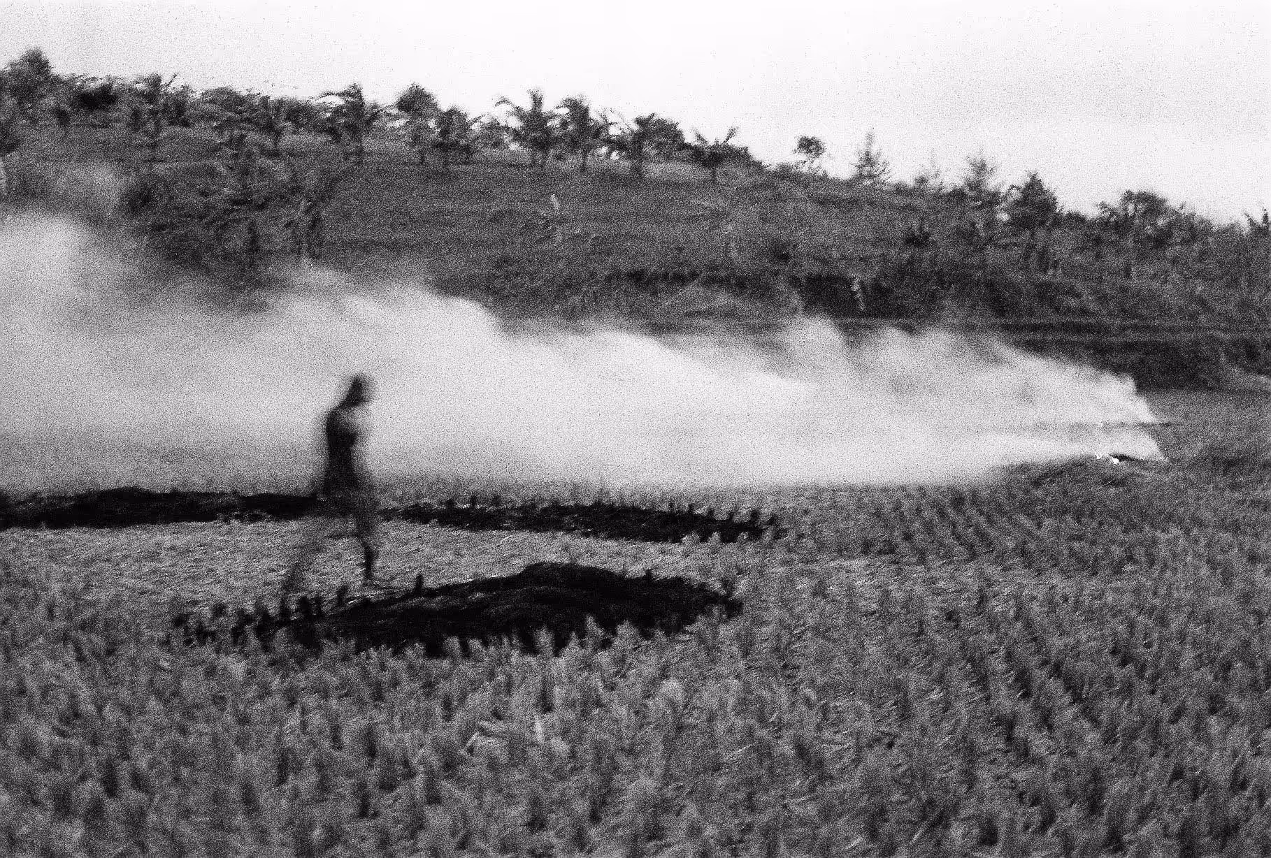 Burning Field