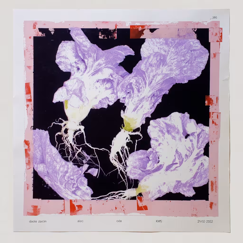 HBA.009 - THE ARCHIVE INVENTS NATURE