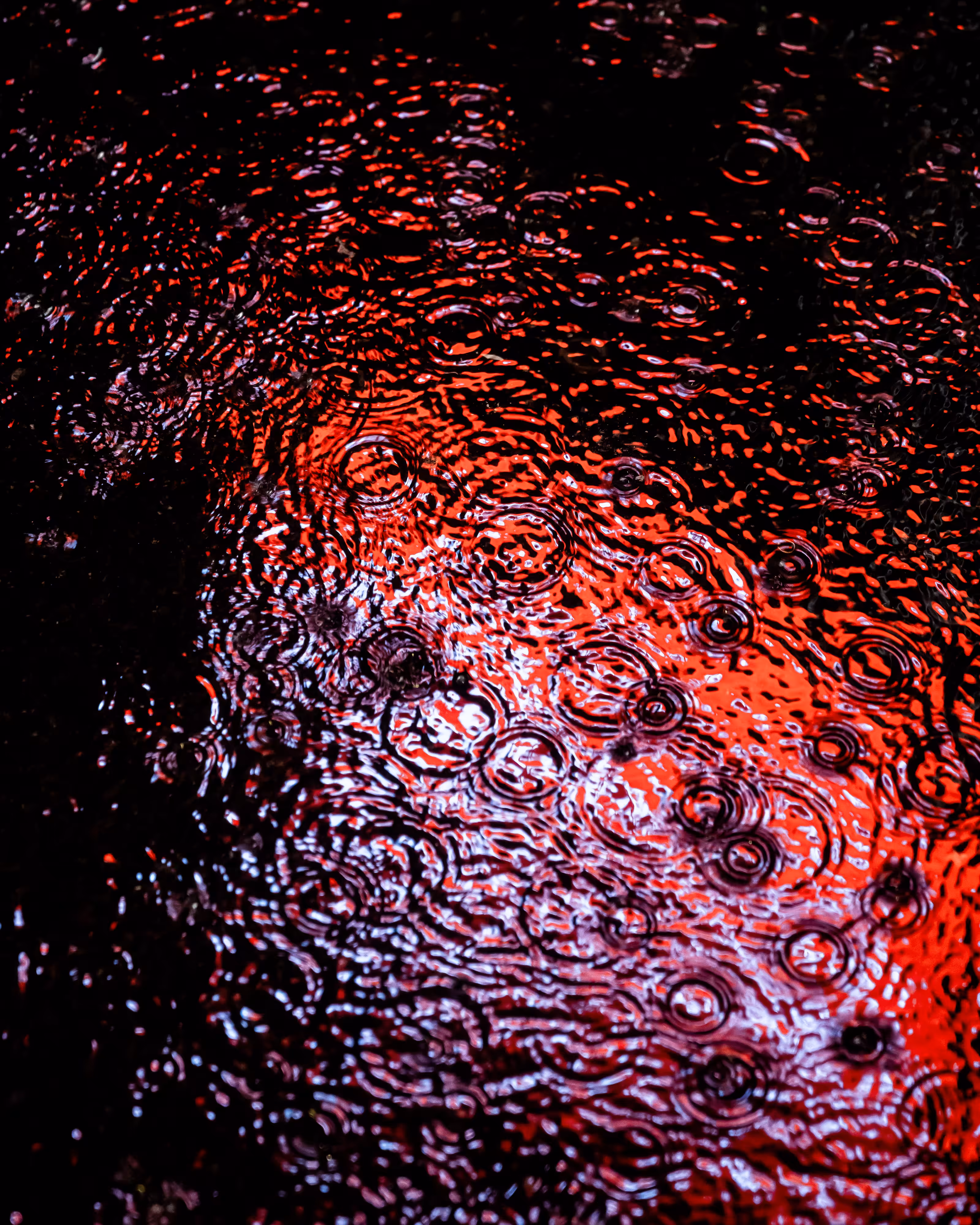 DRIP DROP: DRIP #78