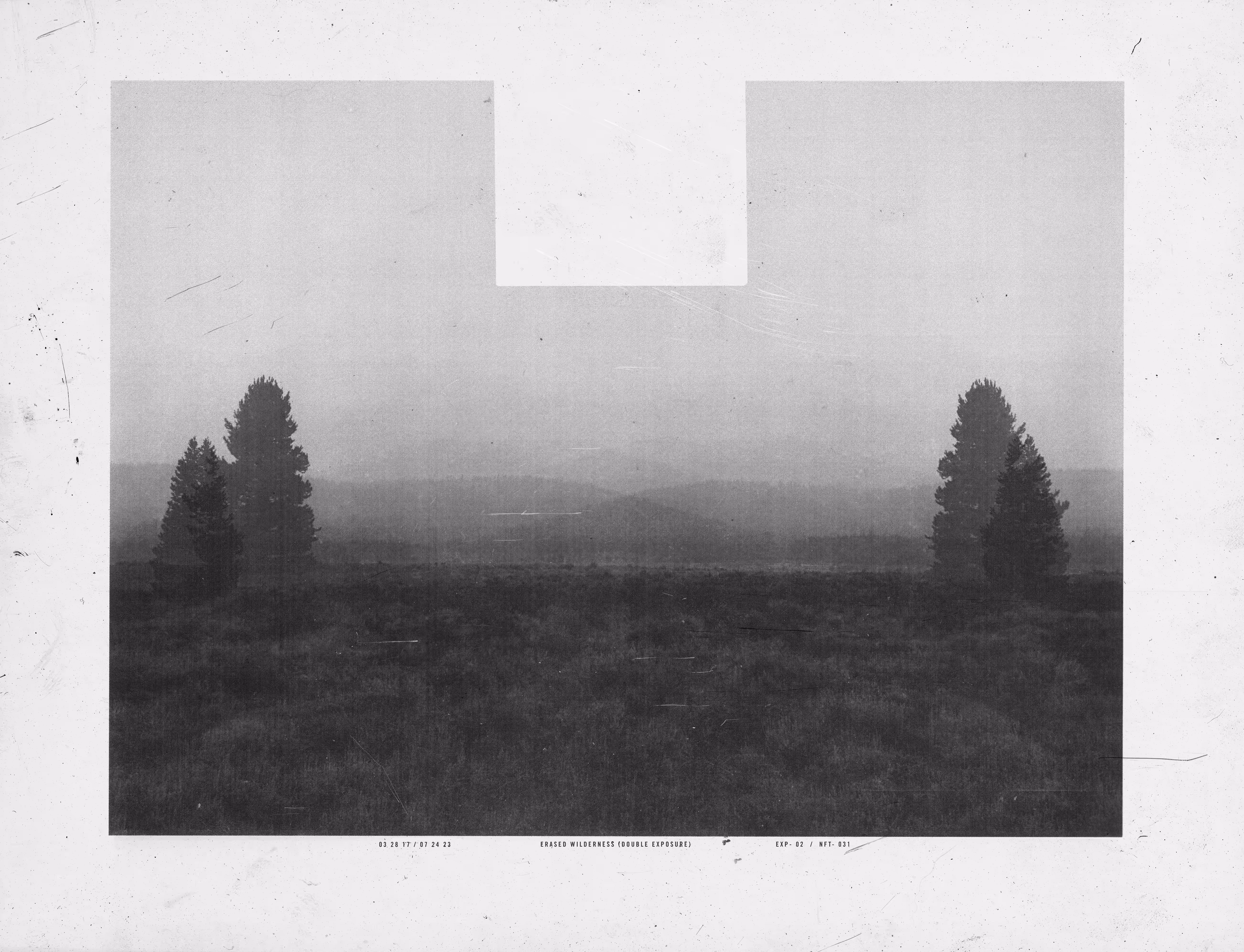 ERASED WILDERNESS (DOUBLE EXPOSURE)