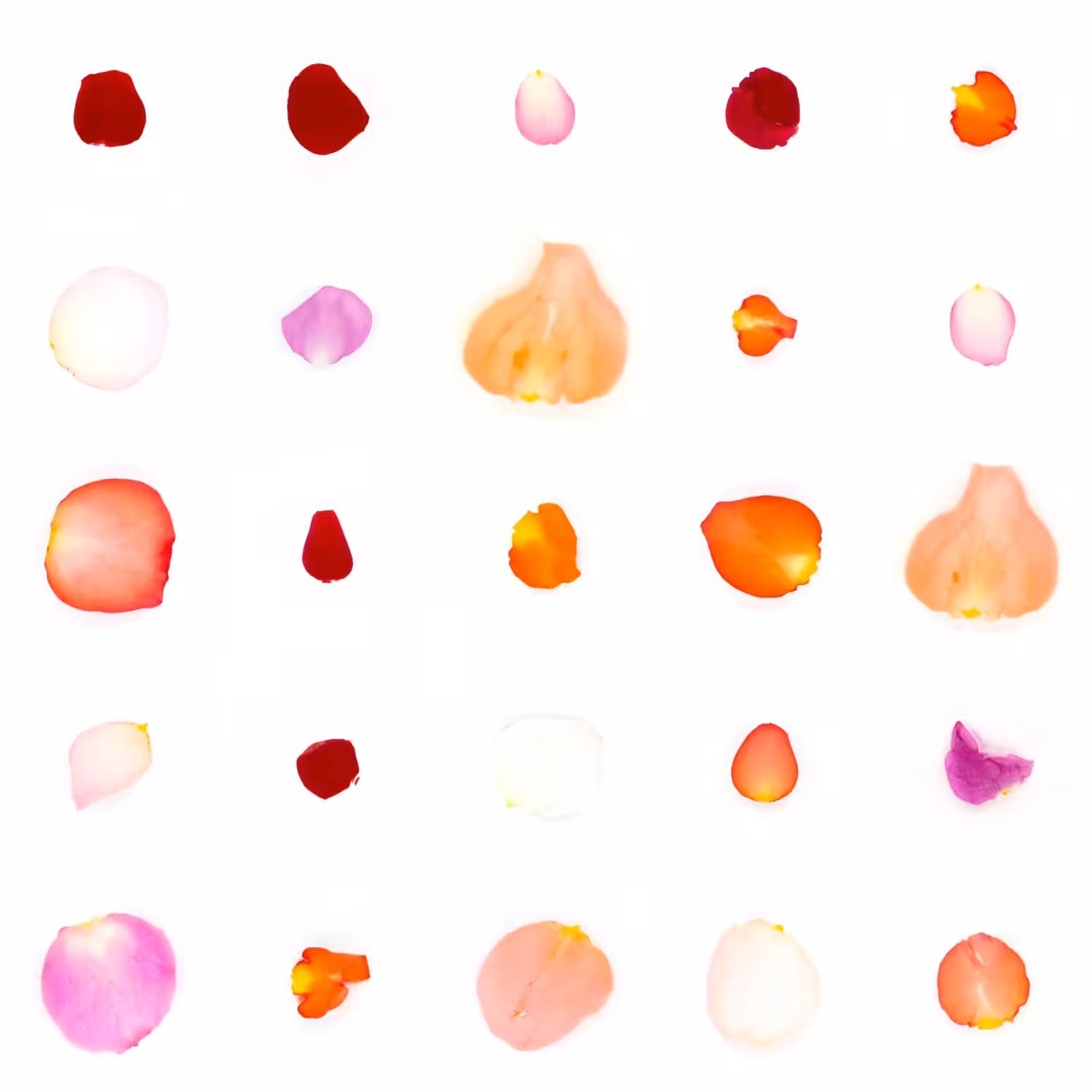 Infinite Petals 5x5#20815
