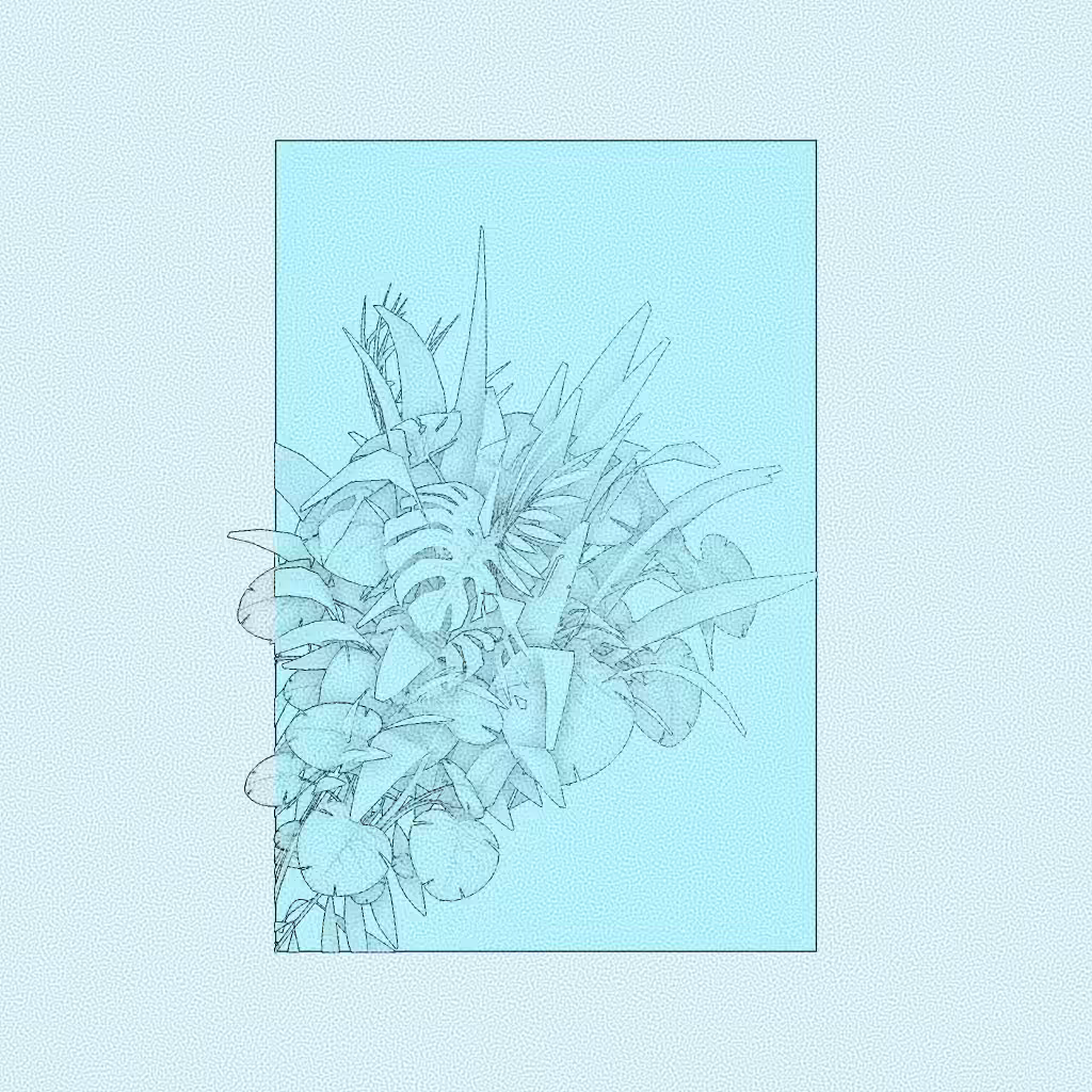 Botany #80