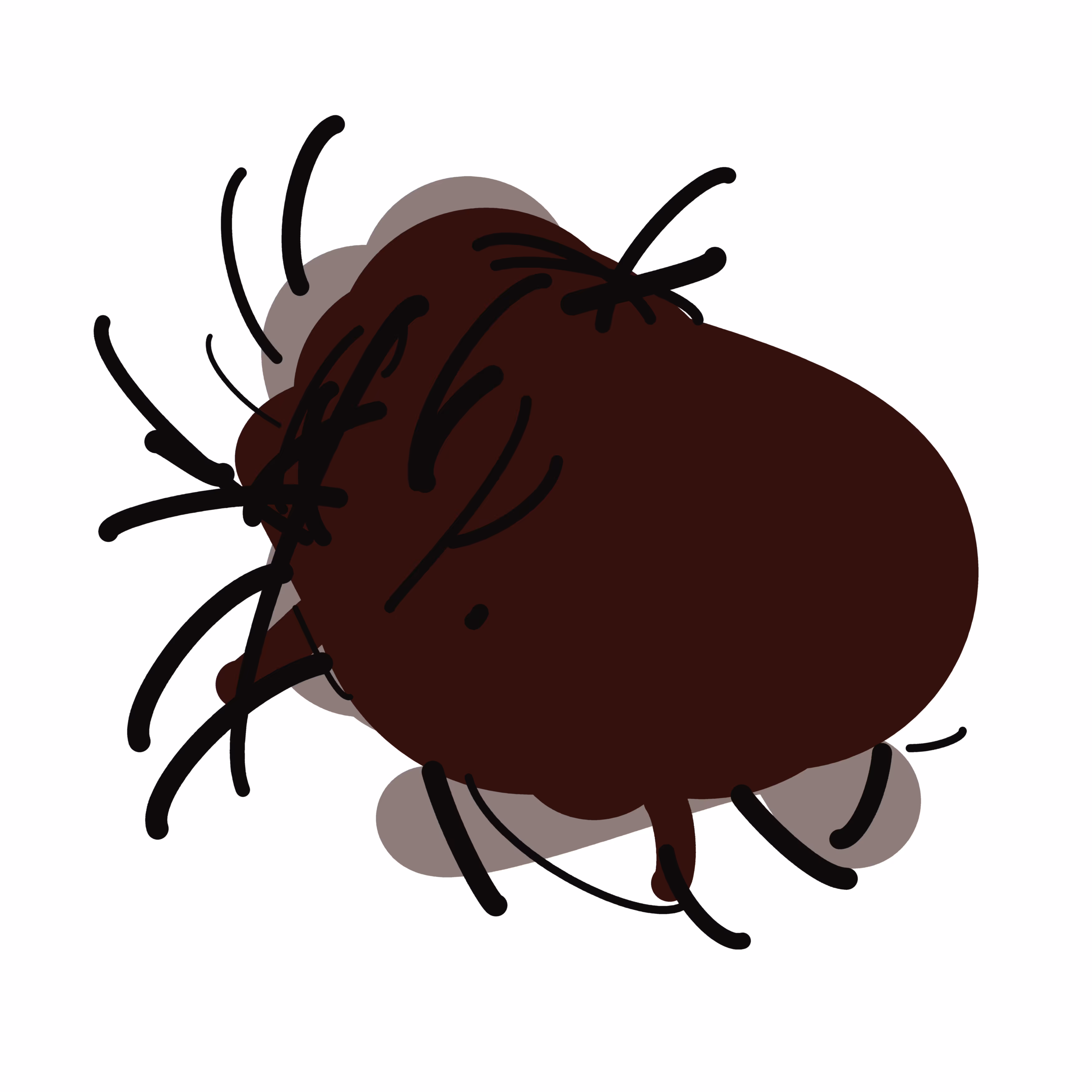 Tick