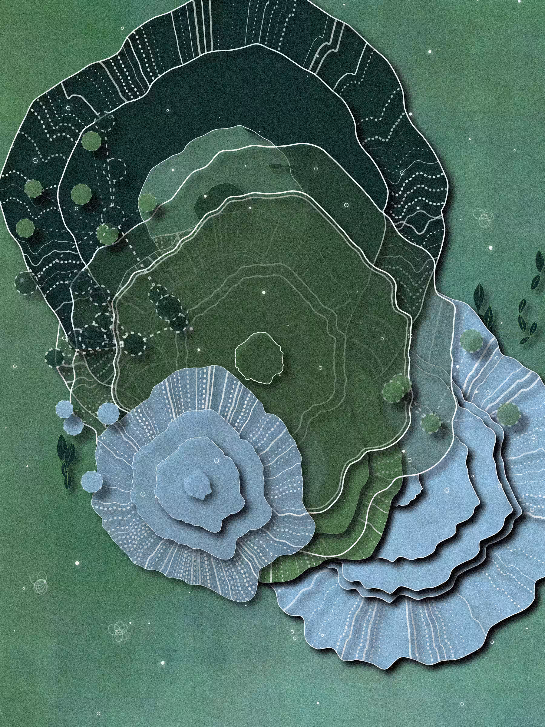 Coral #35