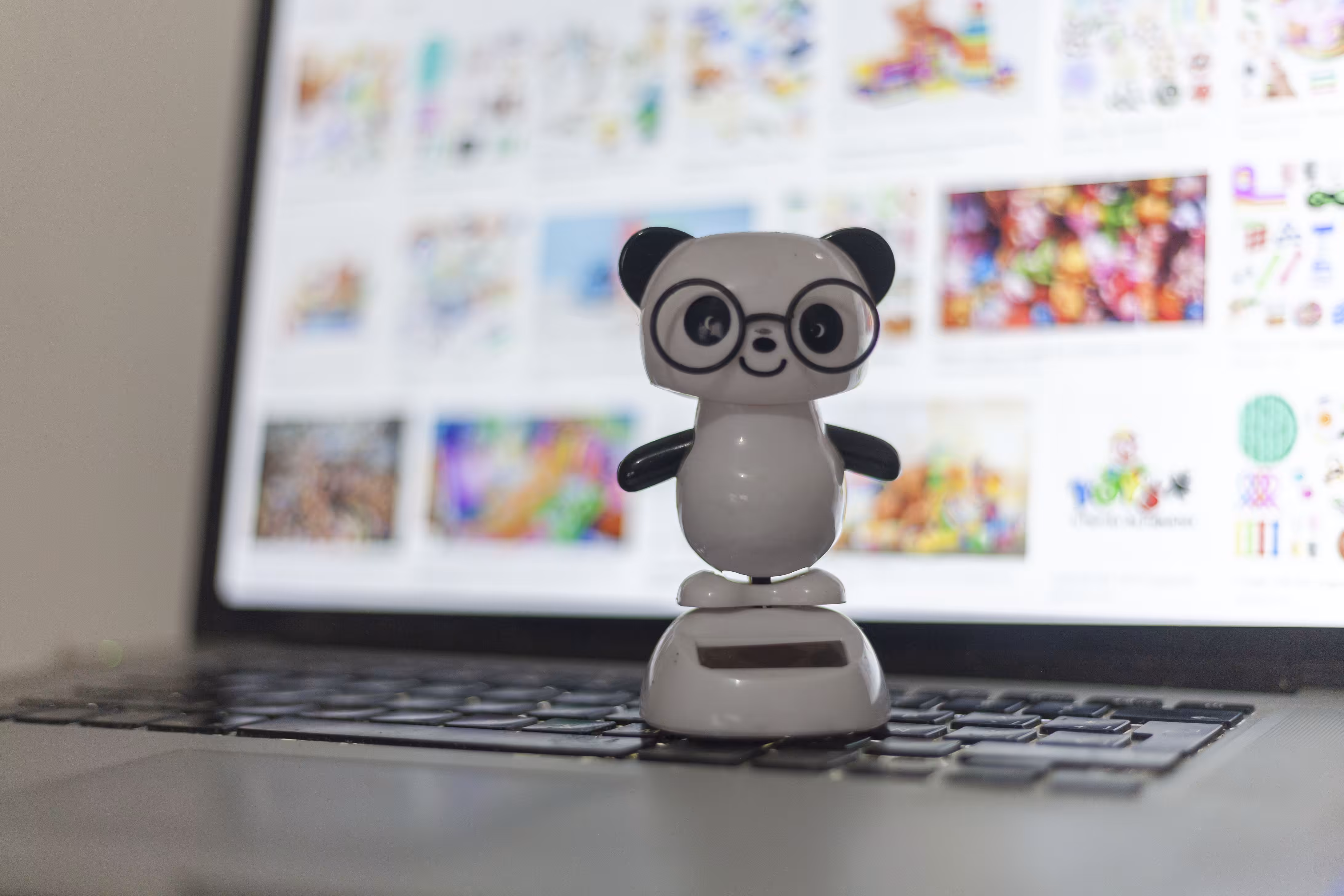 panda and laptop