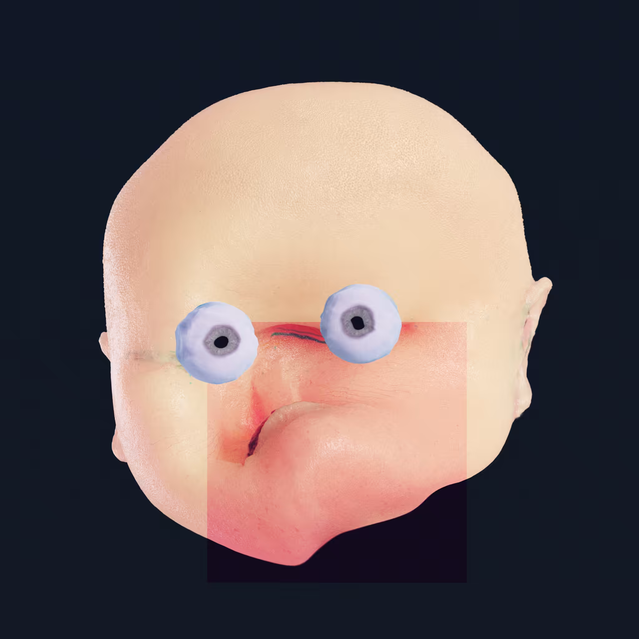 DEGEN #011