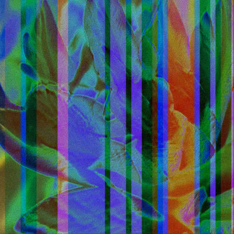 CLDCSMC #141
