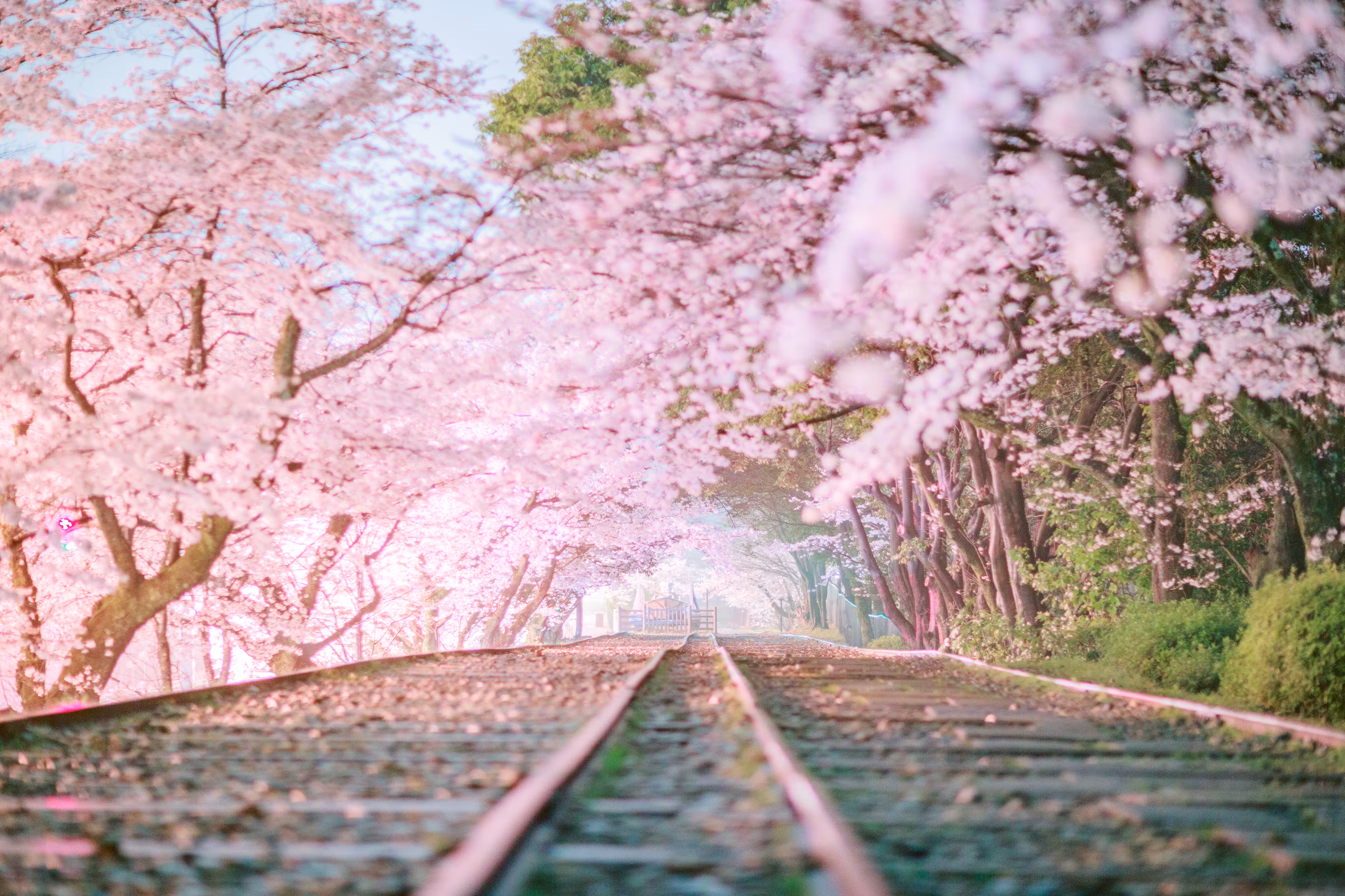 Railroad leading to Shangri-La