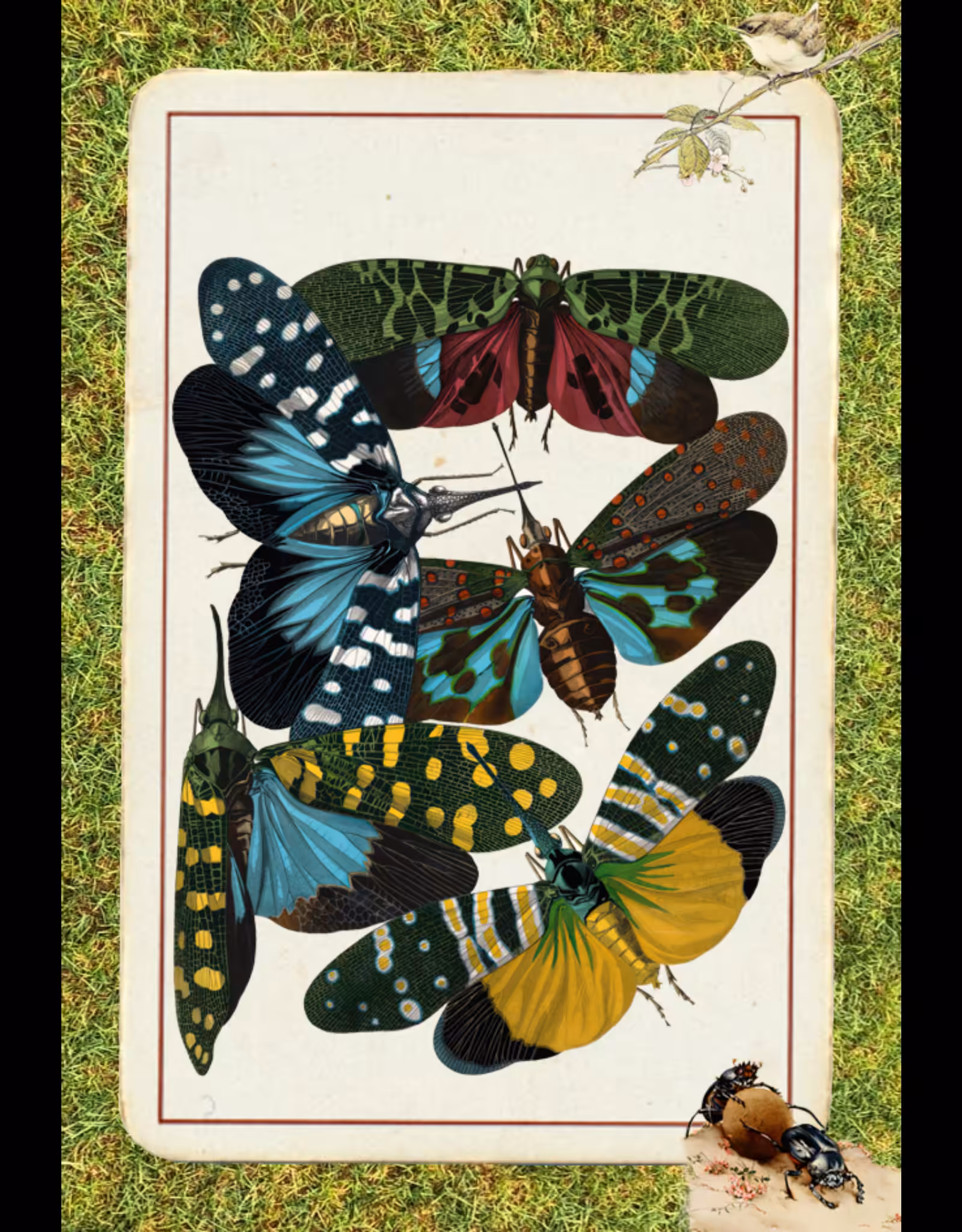Paper Bugs #13