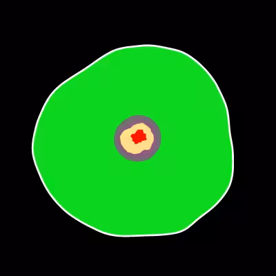 Black Hole Cell #9