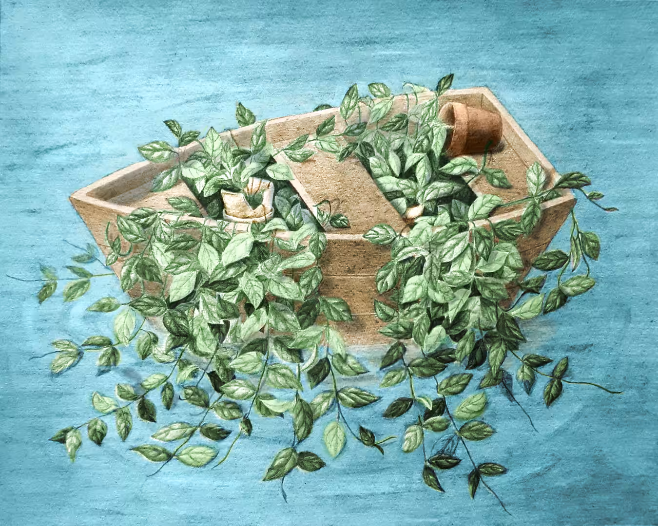 Boat and Pot