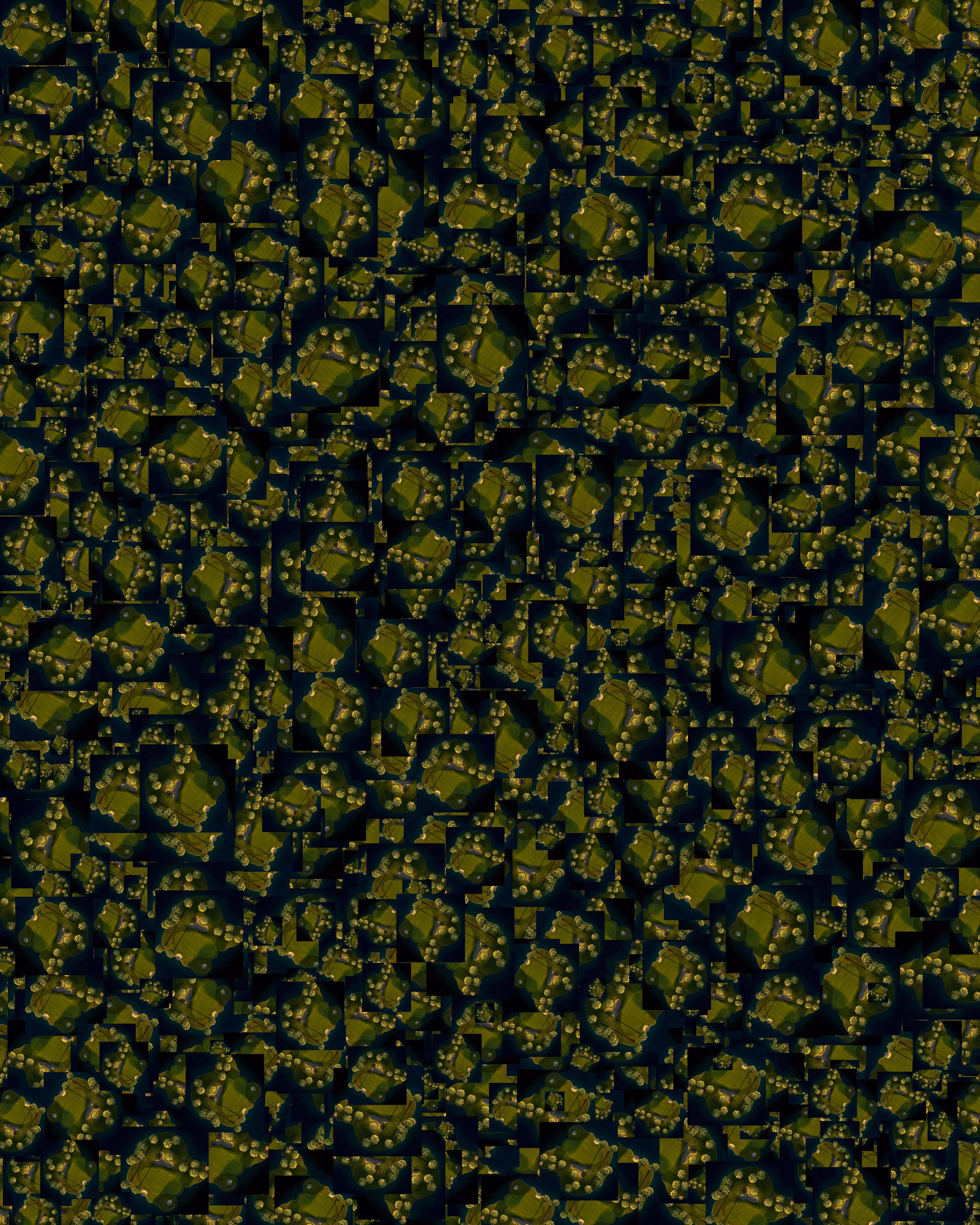 CANVAS: 481