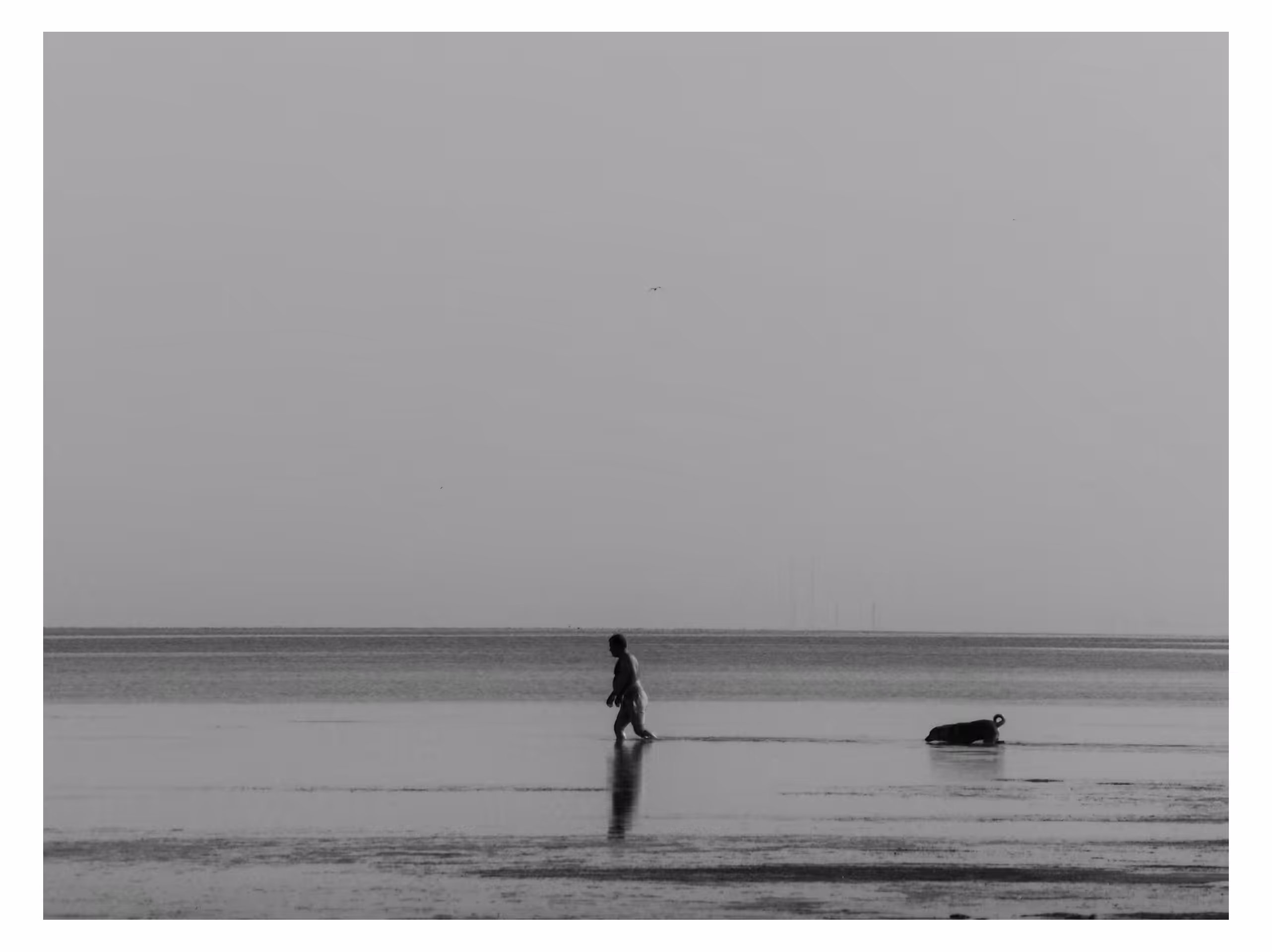 Man and Dog