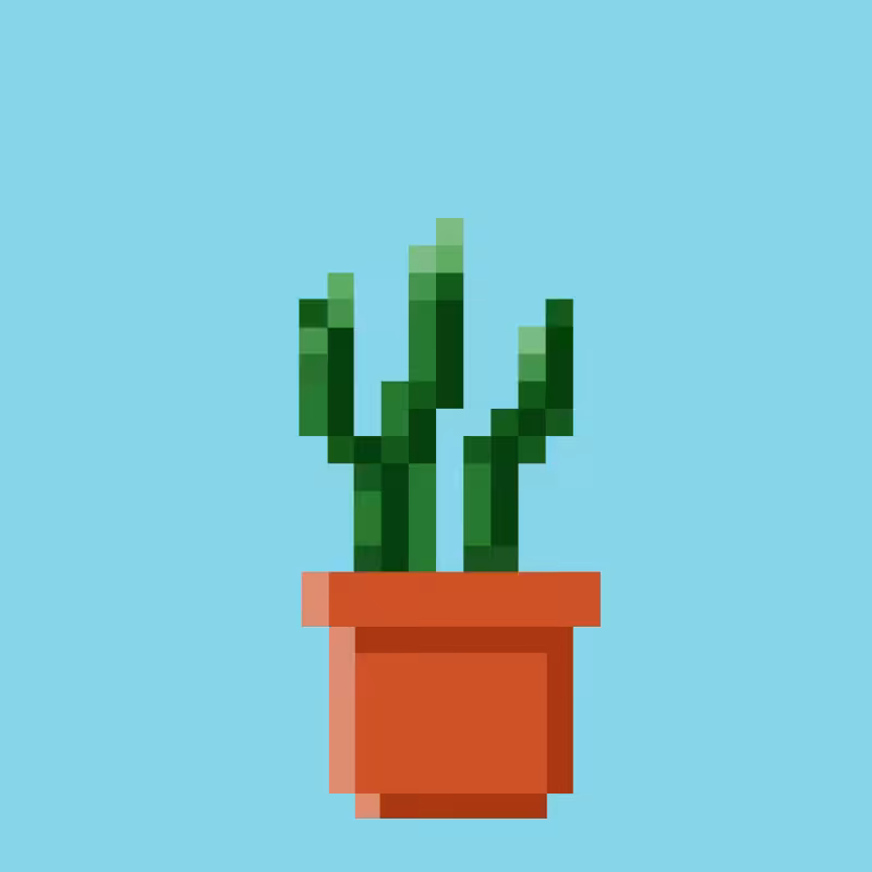 Tez Plants #1