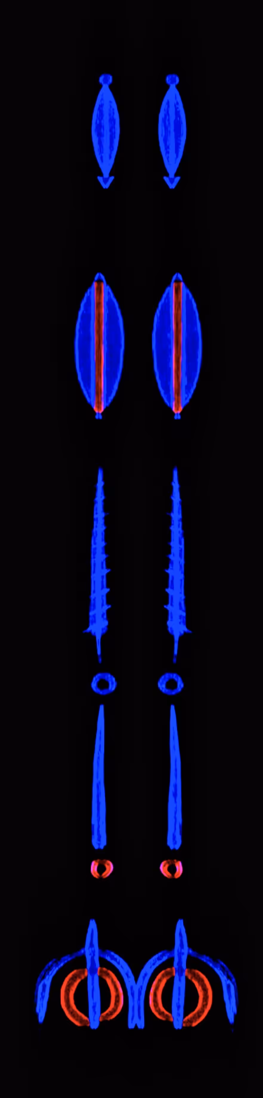 ToTem and tabOO