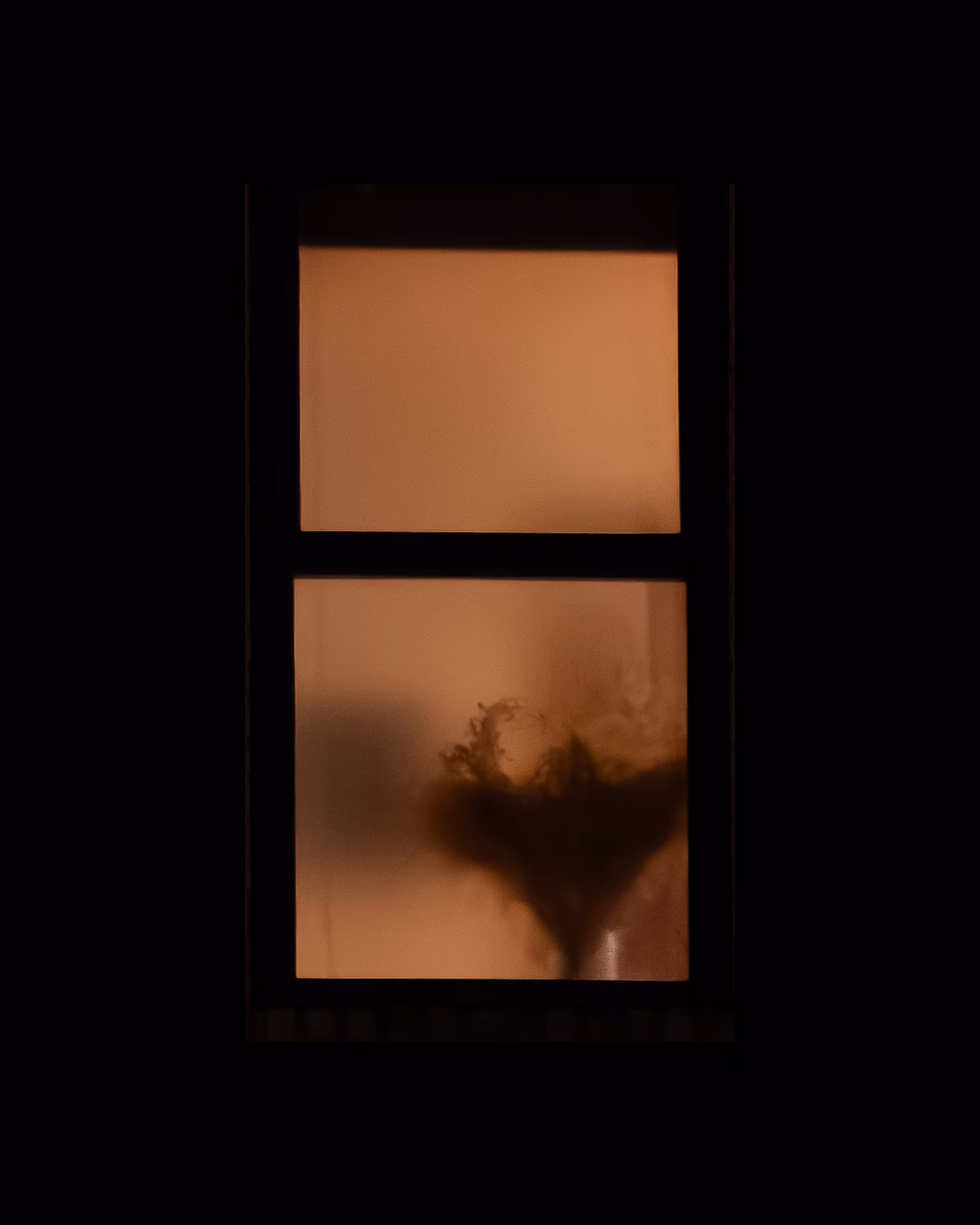WINDOW 666