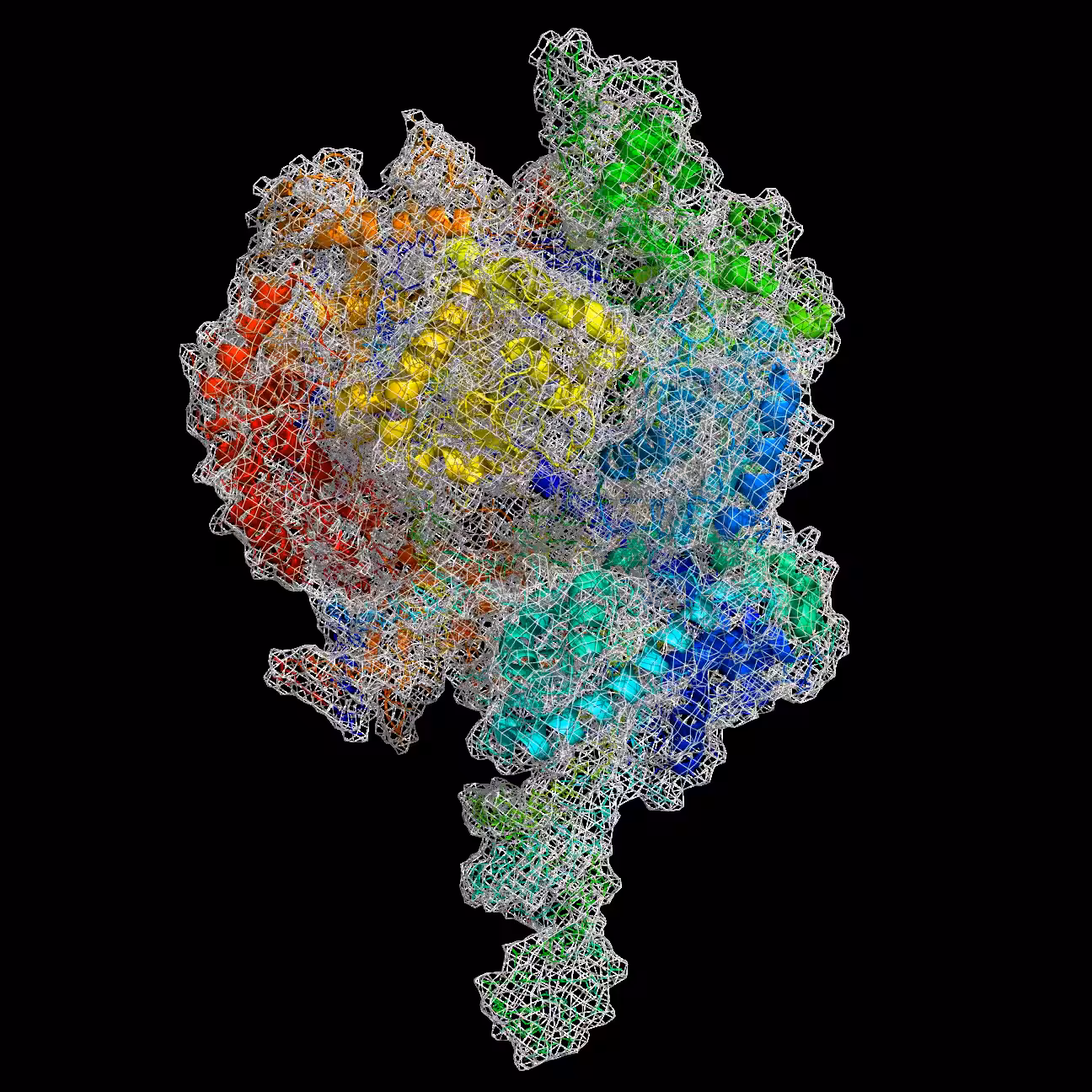 A CRISPR View (CRISPR/Cas9) cage