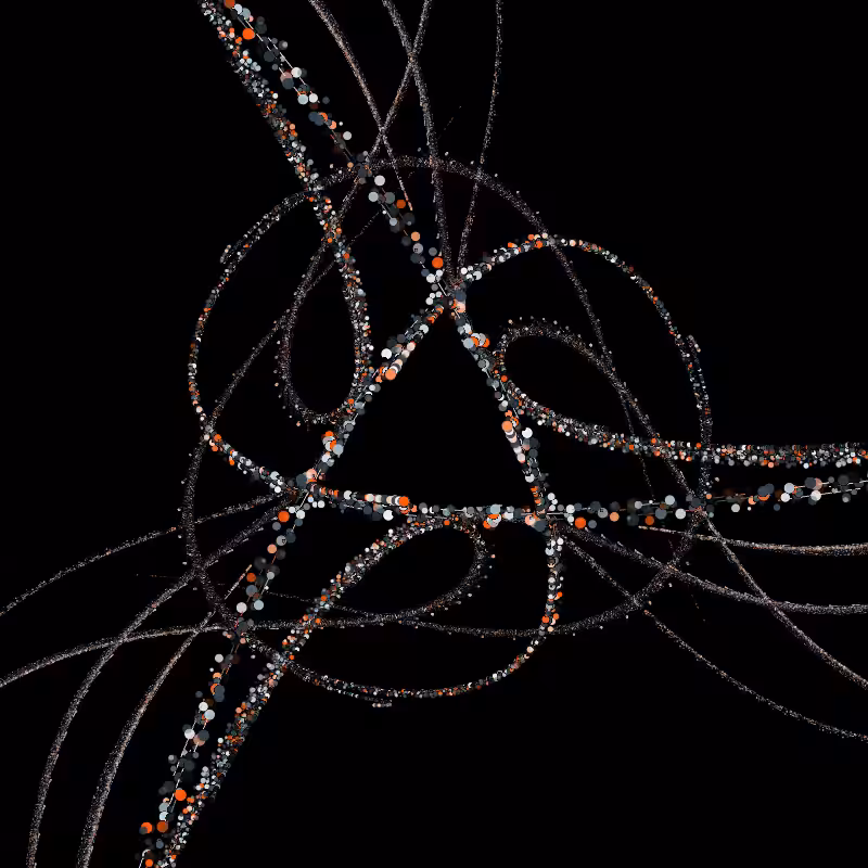 Vortex
