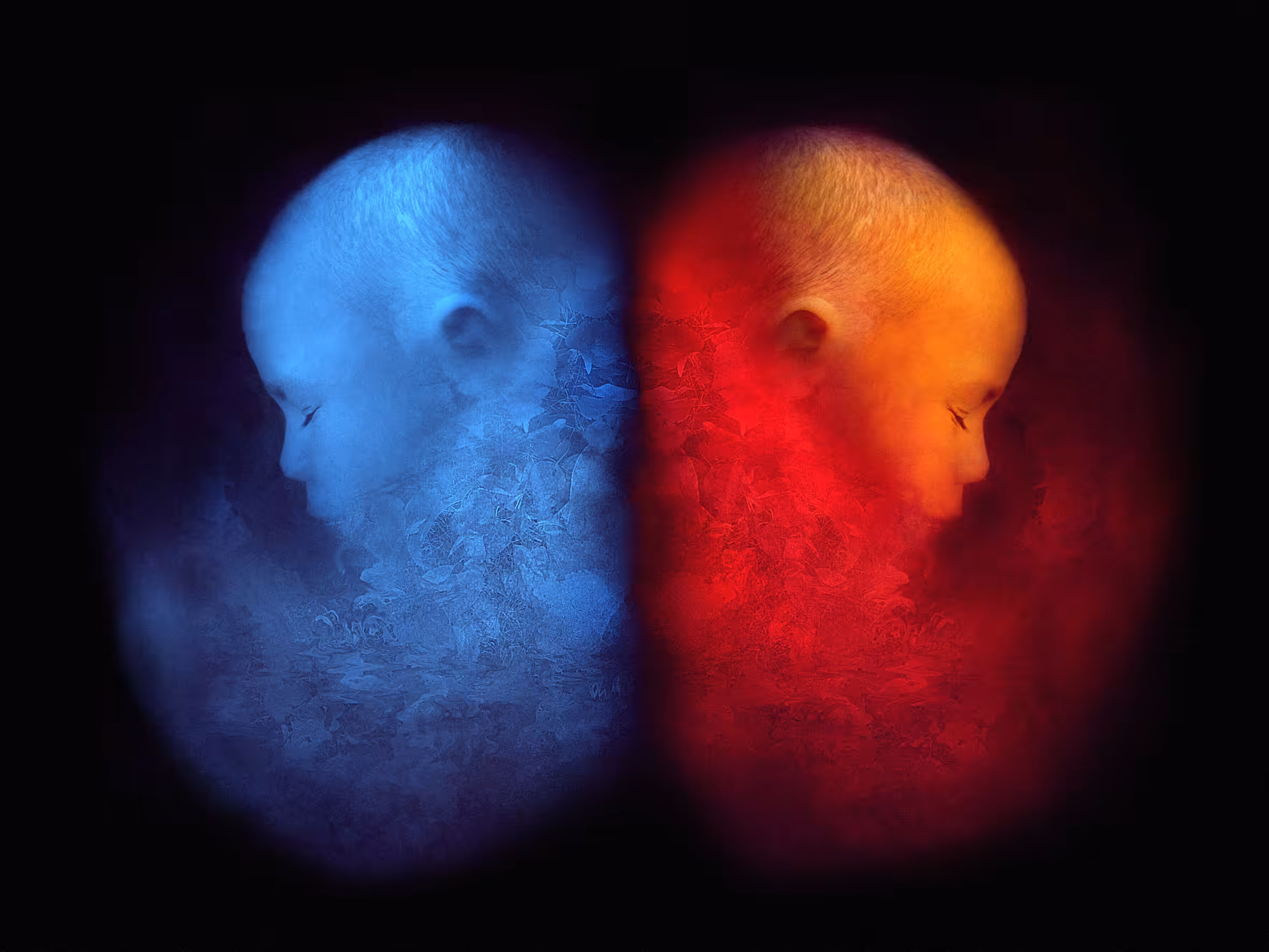 Untitled (or Dual) | From Ether Serie