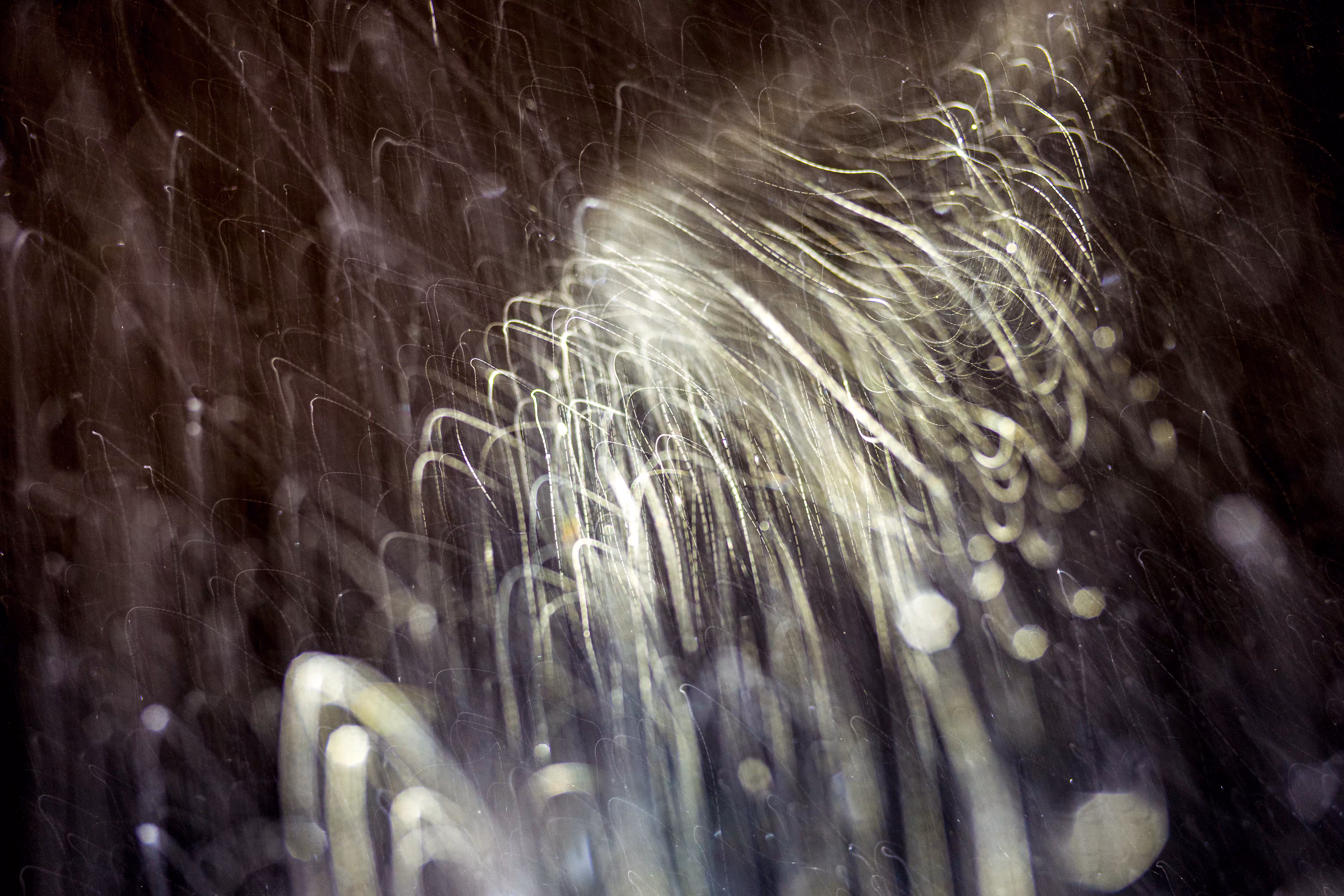 GISELXLIGHTSLURRY: L1210371 : An omen of the skies