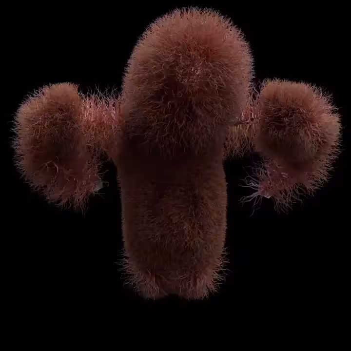weird-move #1