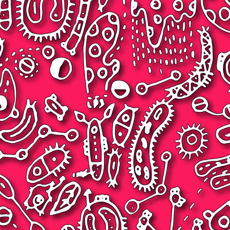 THE BACTERIA #1 #11
