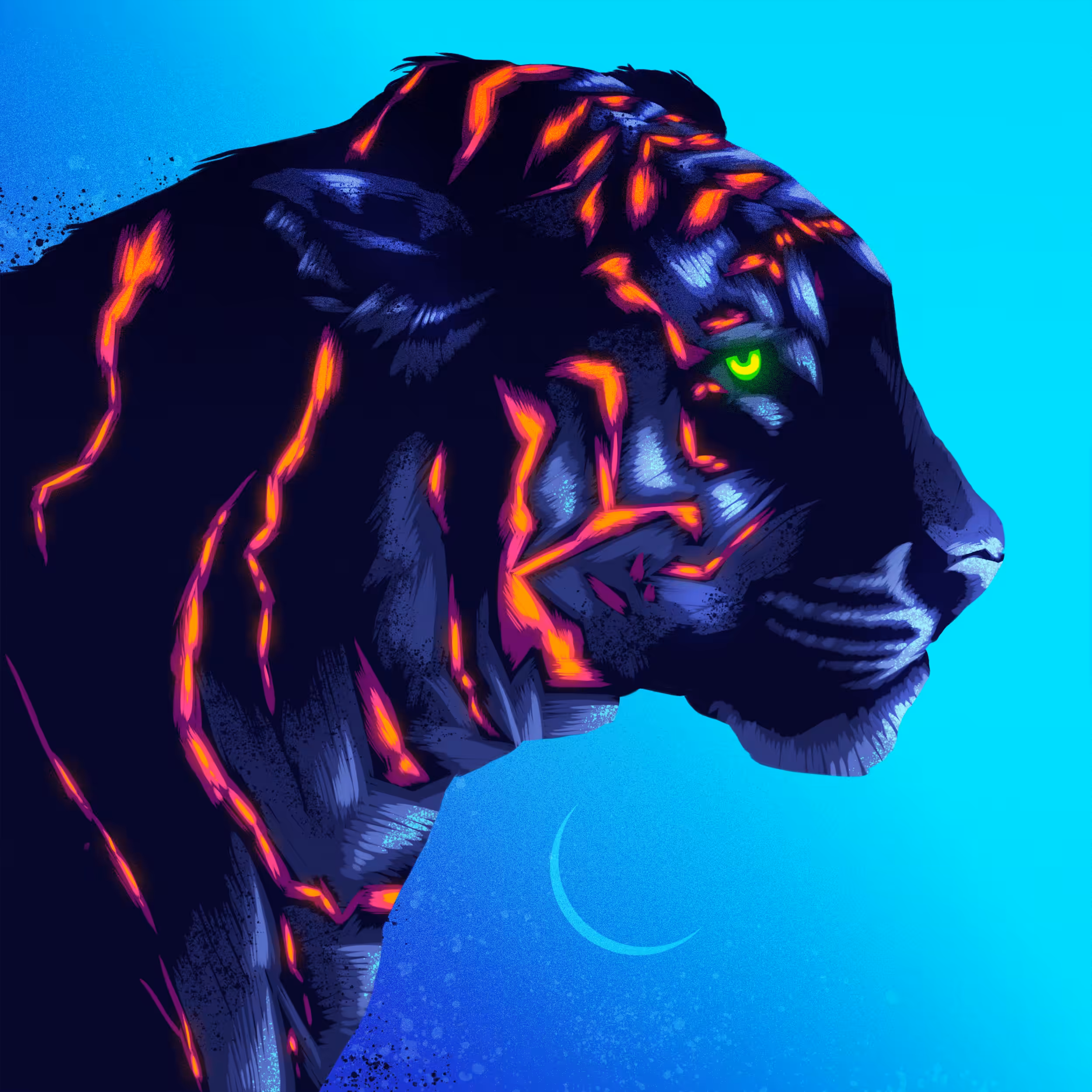 Signalnoise GM #12