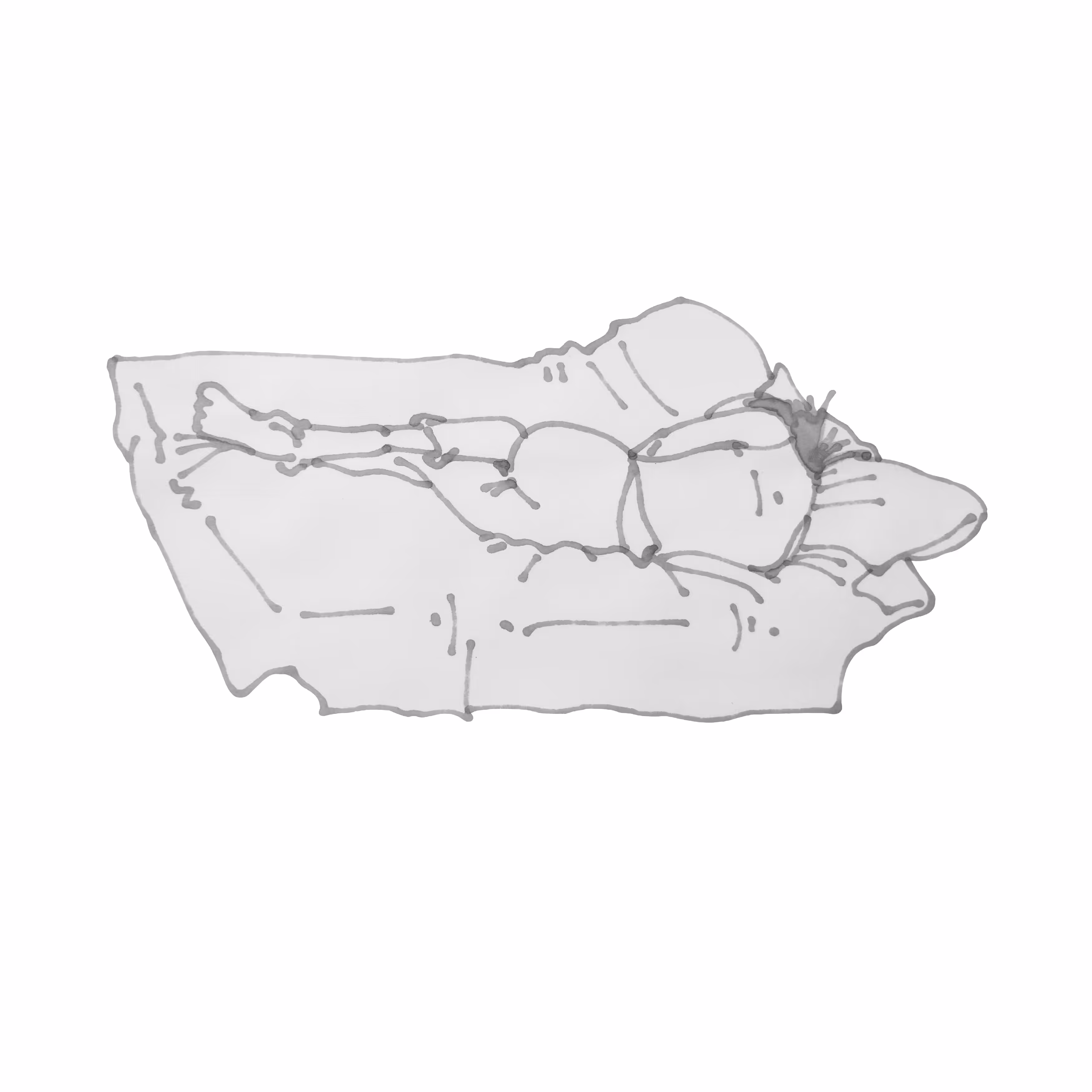 zzz