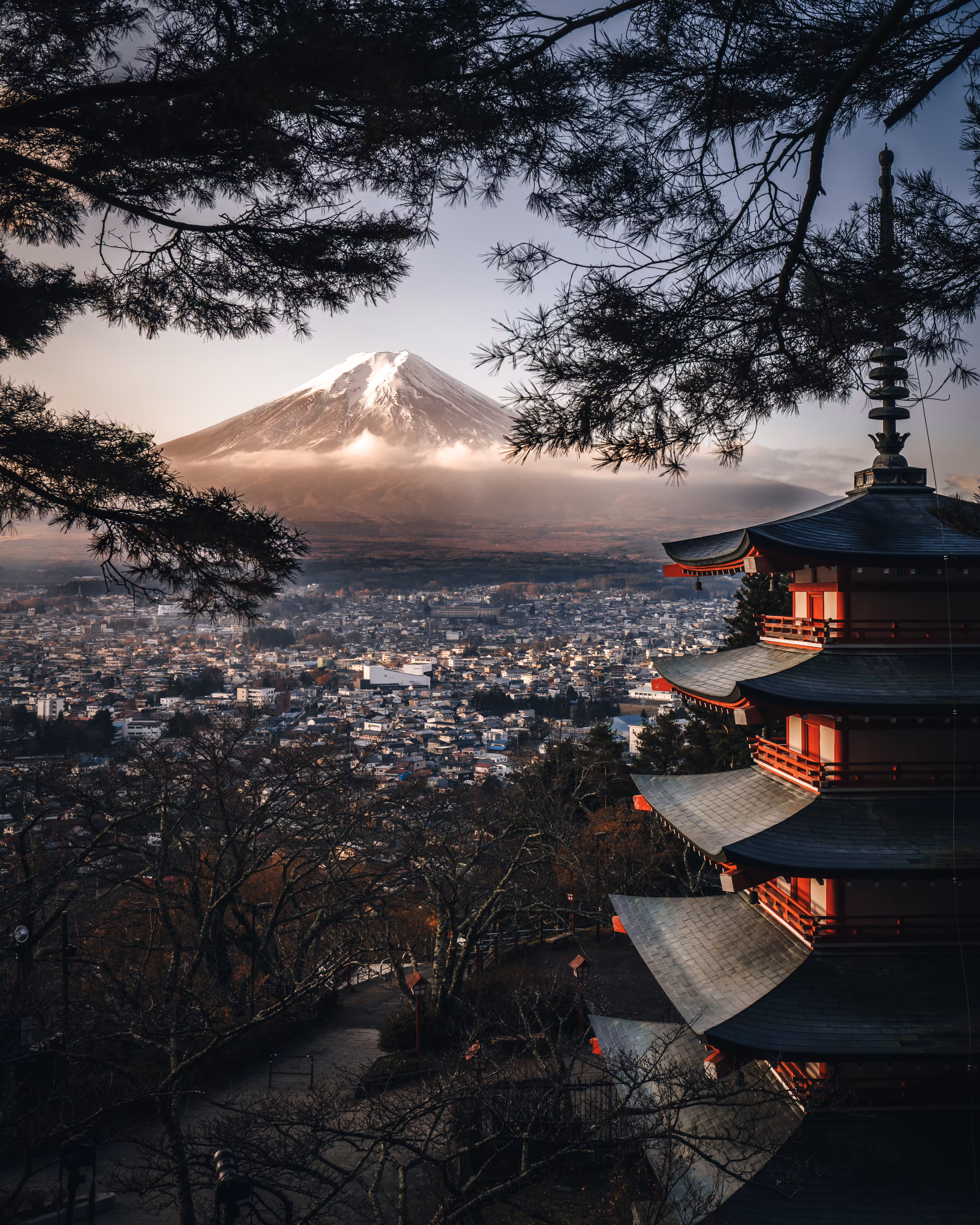 Morning In Chureito