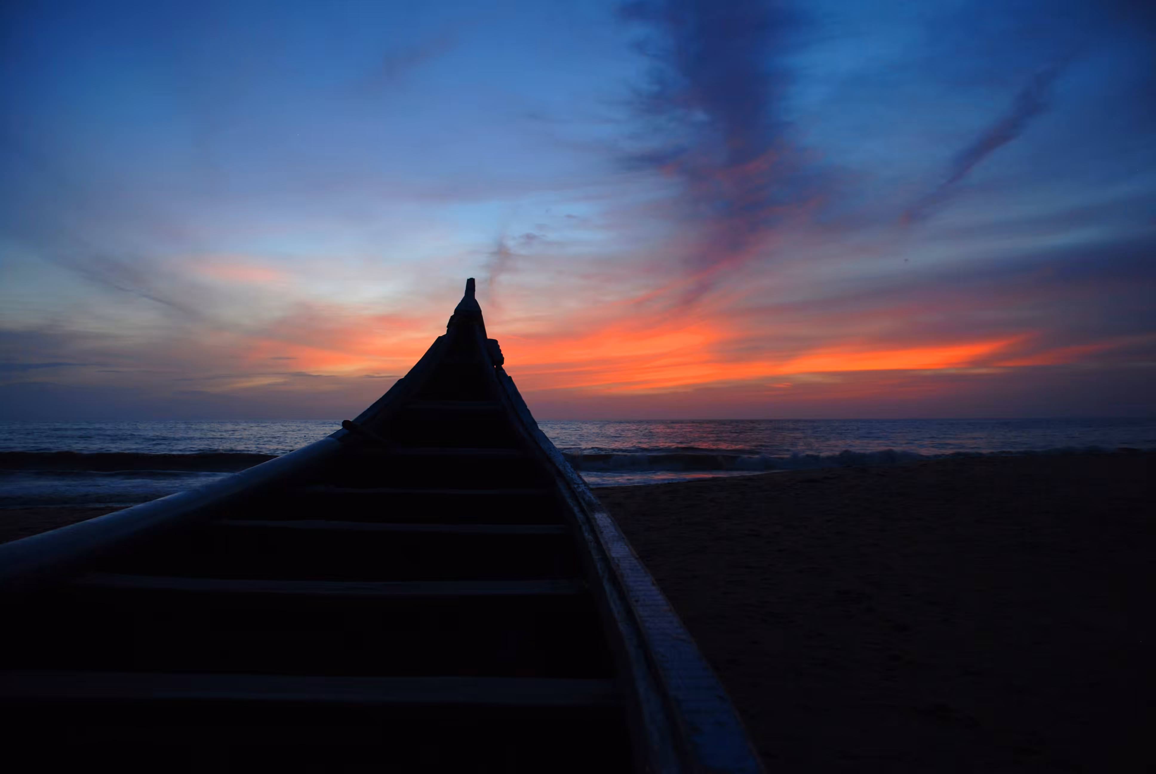Life in Arabian Sea 
