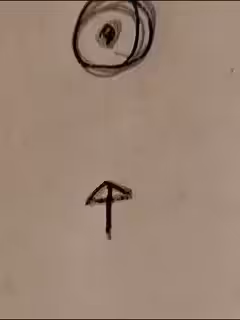 The eye