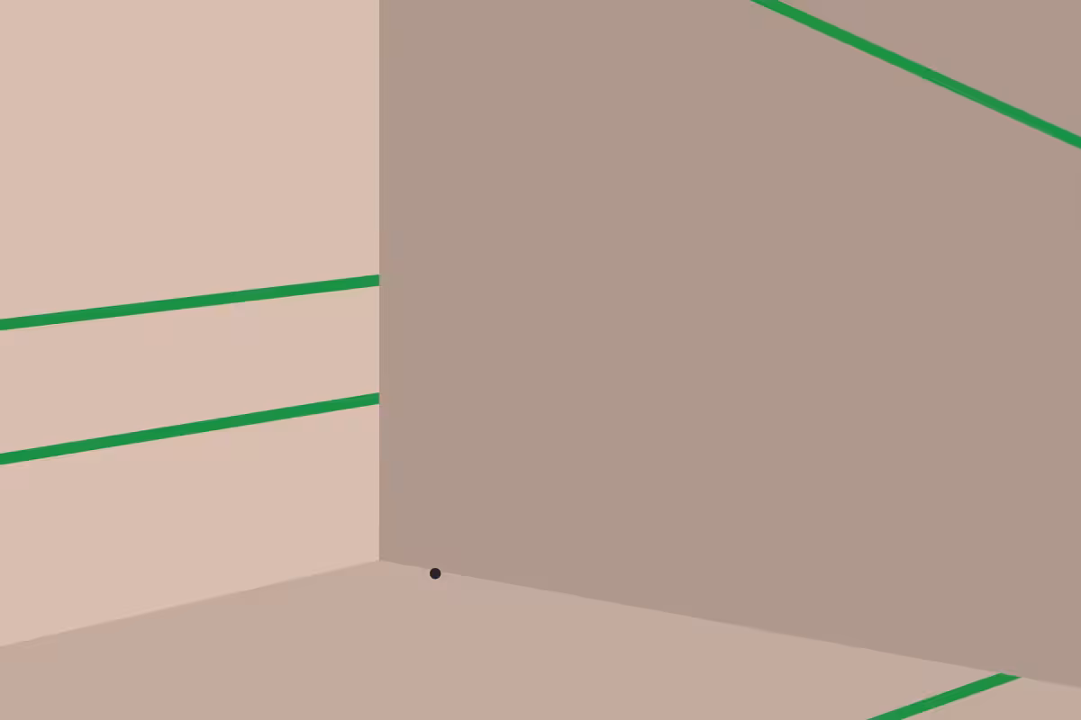Squash #18