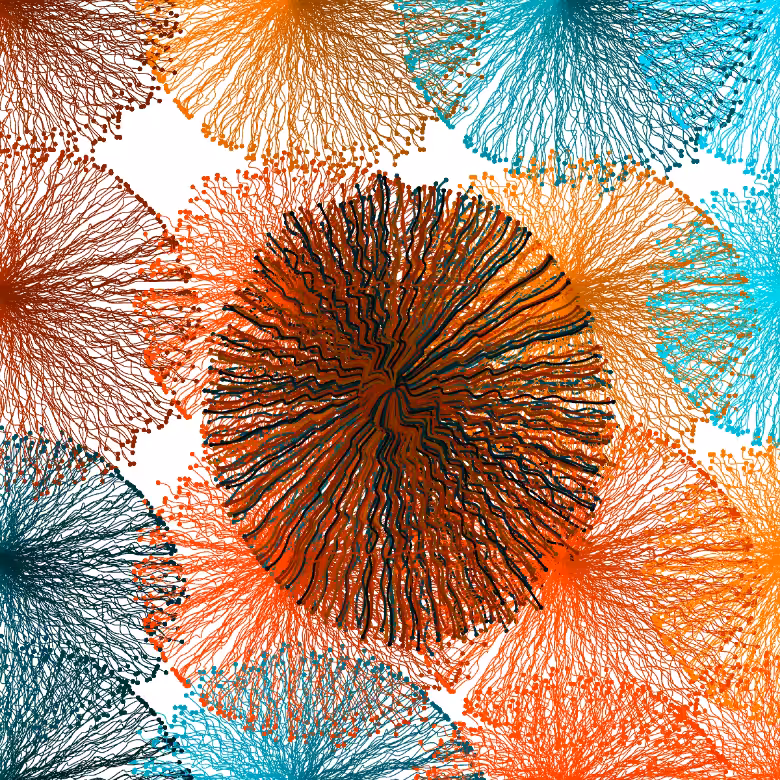 CircuWeb #17