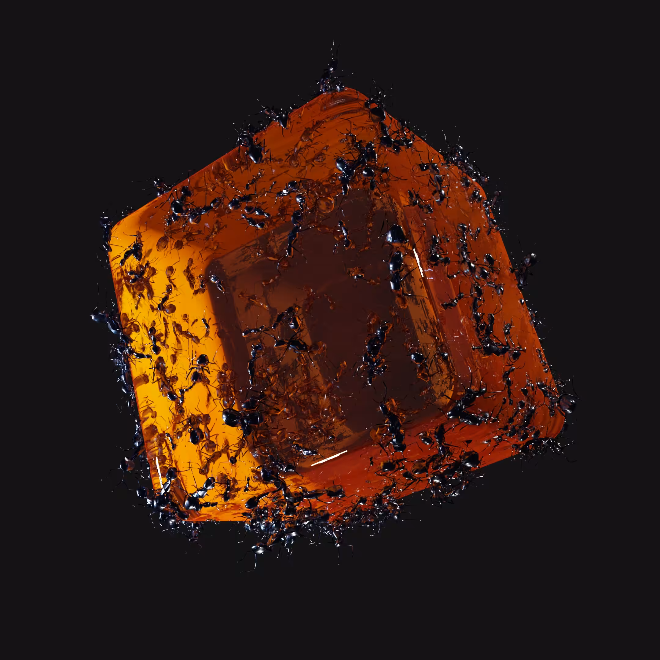 Ants in amber