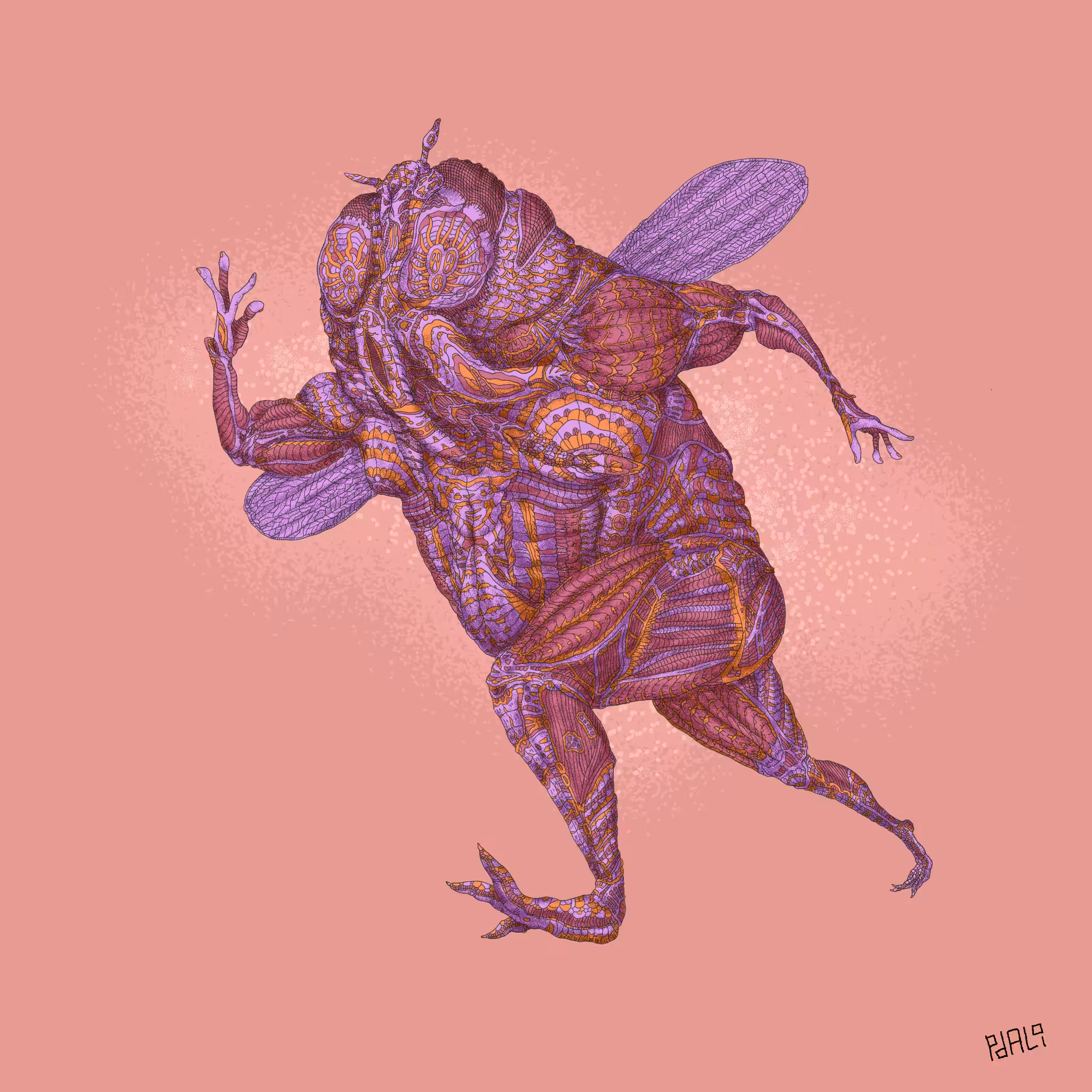 Imago / Pollinator