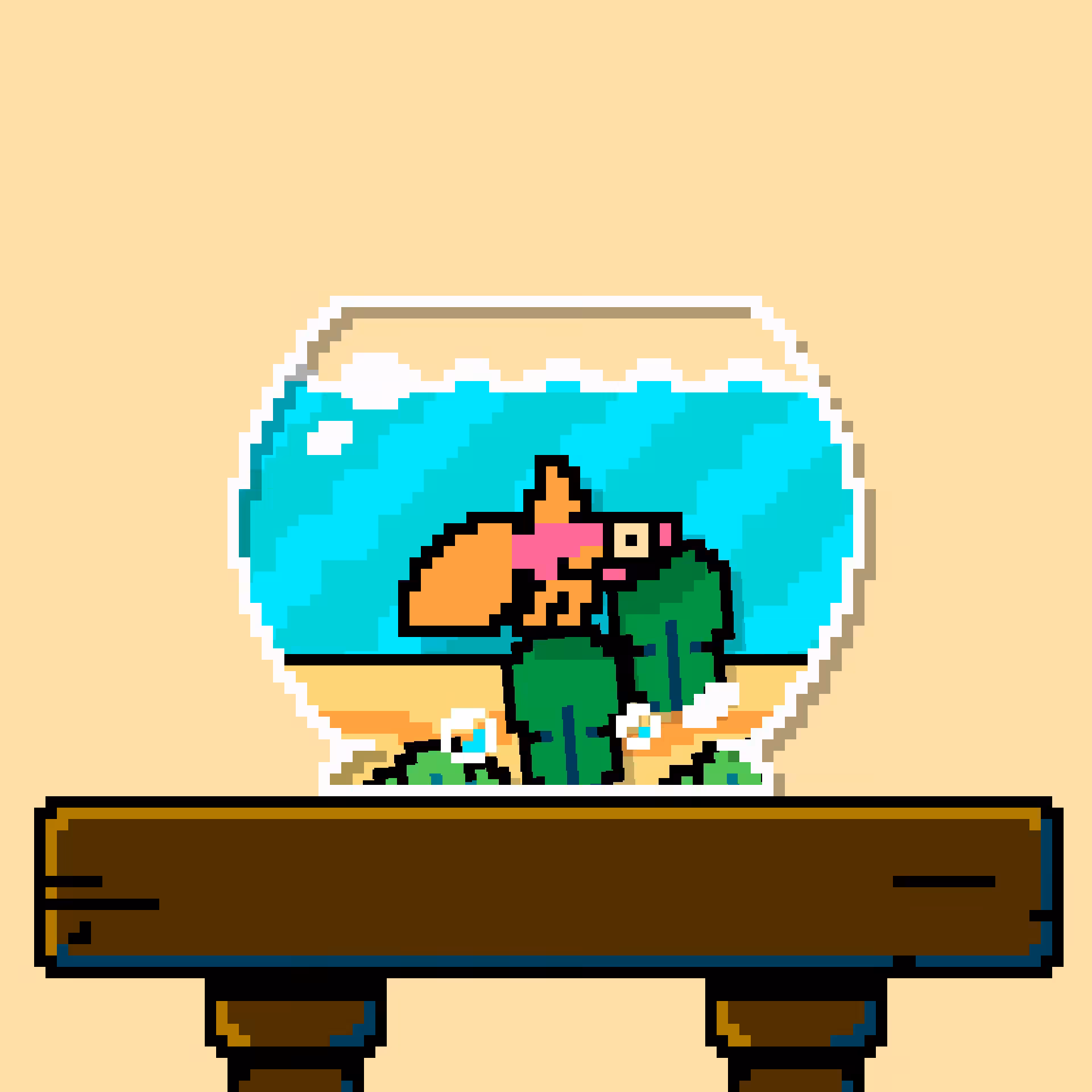 betta fish #538