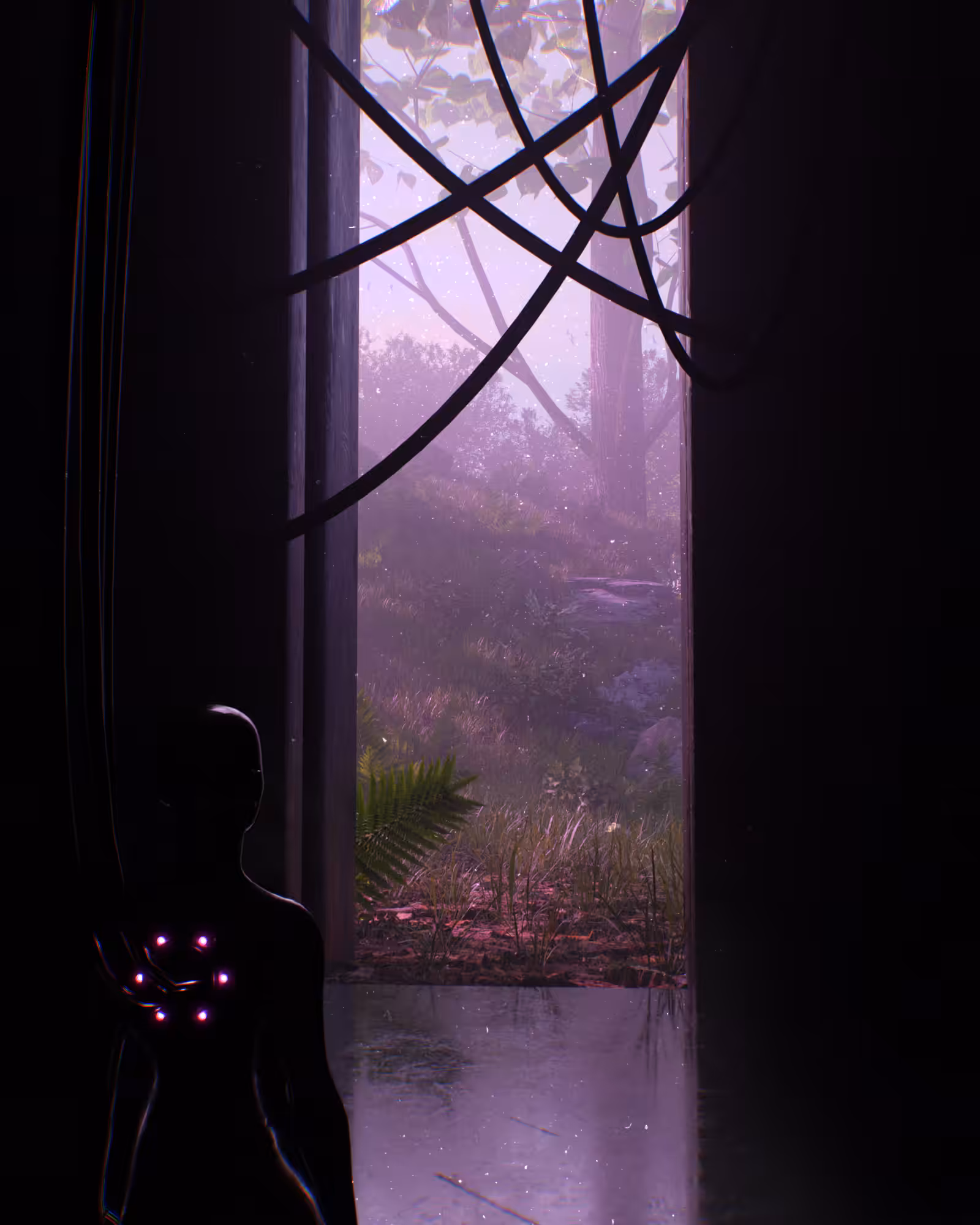 Peeking Outward