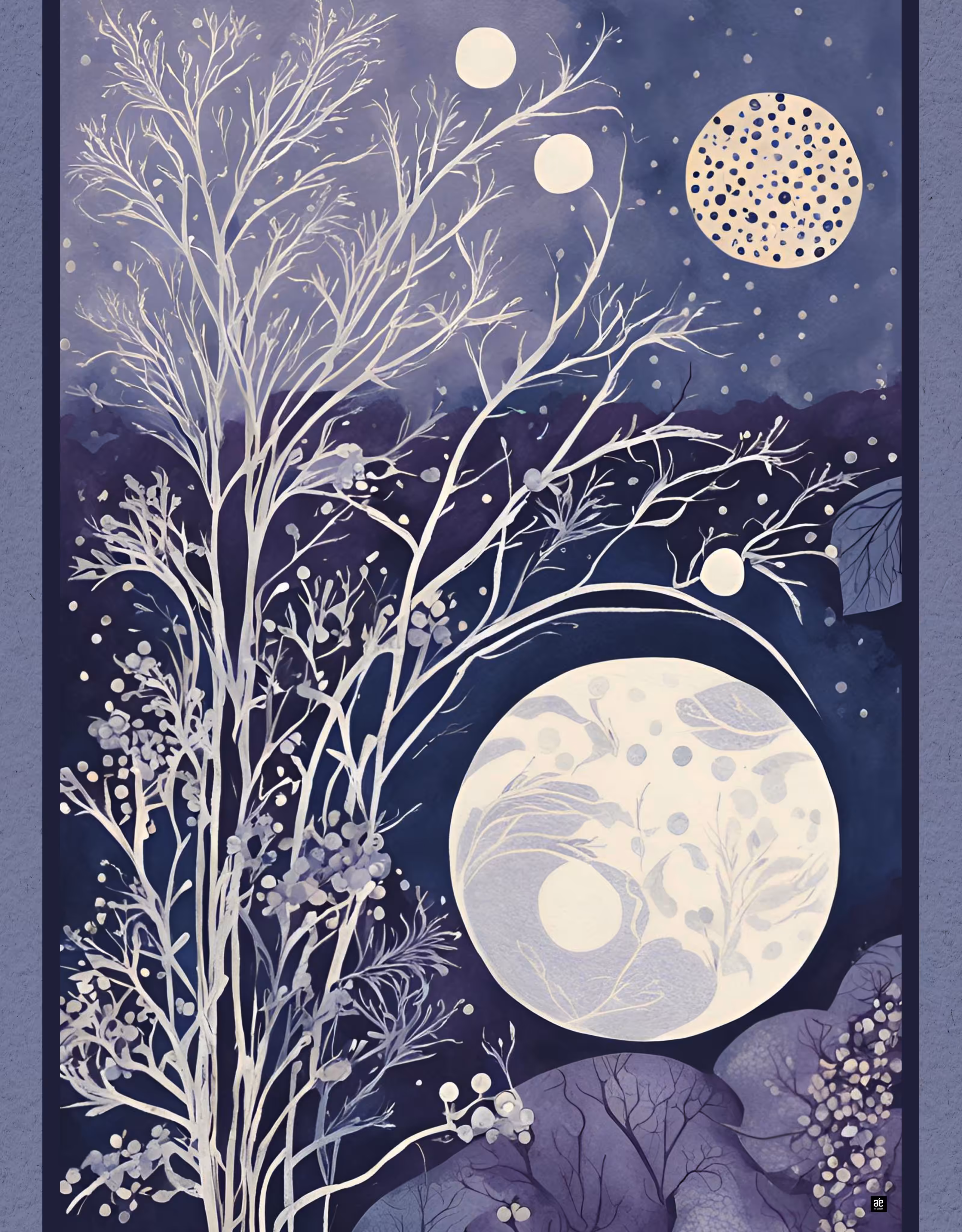 WINTER "ZEN"