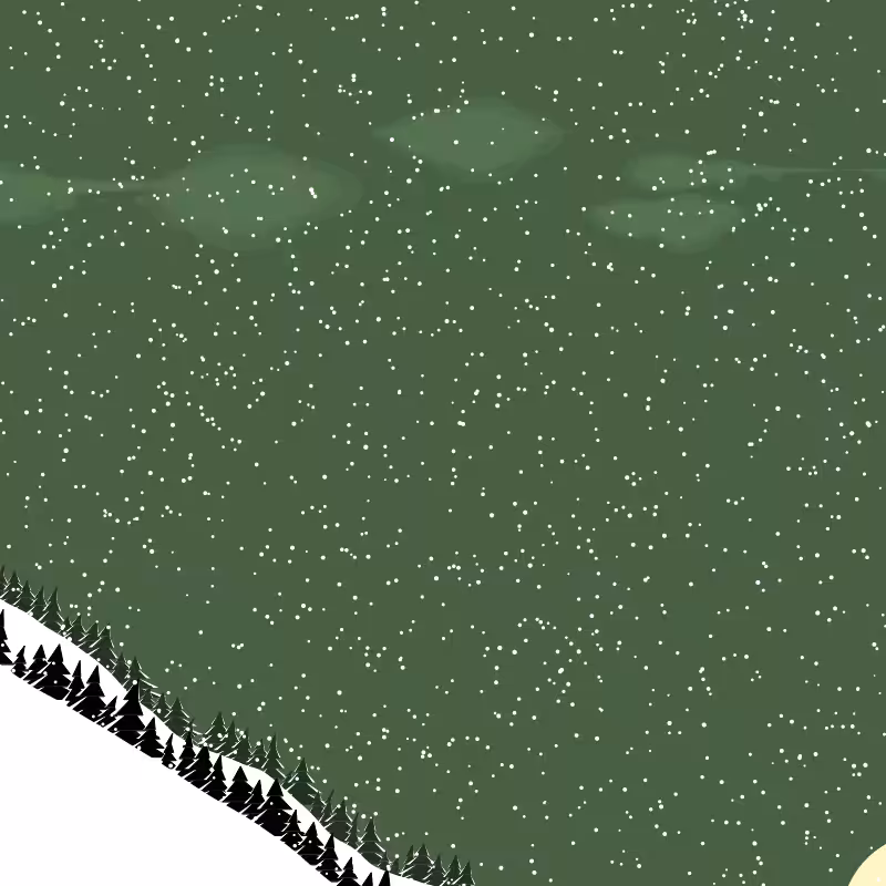 Winterland #229