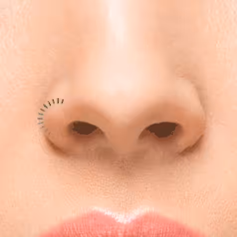 Loading Nose Piercing
