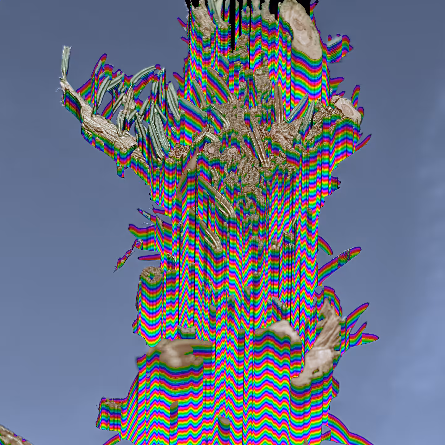 processed spruce.png two
