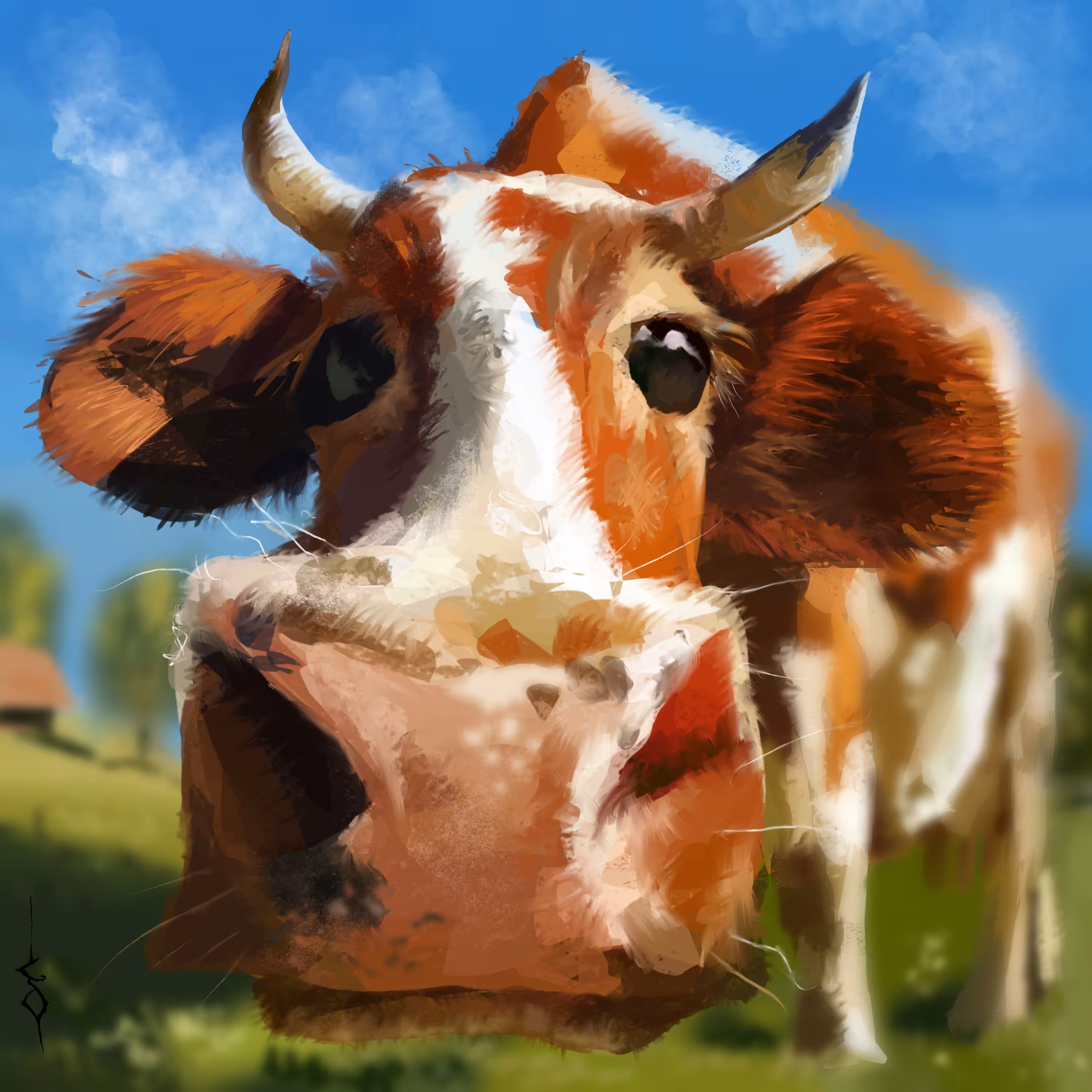 Dottie