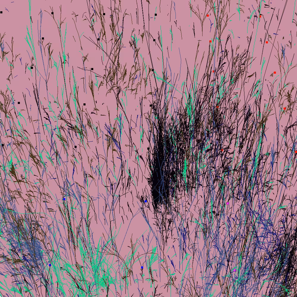 Infinite Garden: 13494 Flowers