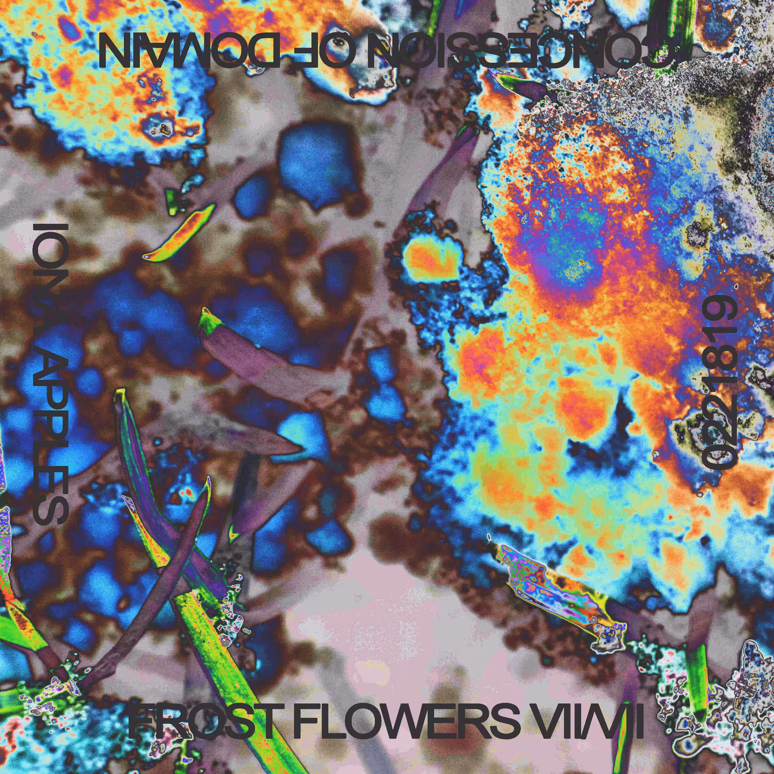 FROST FLOWERS // No. 22