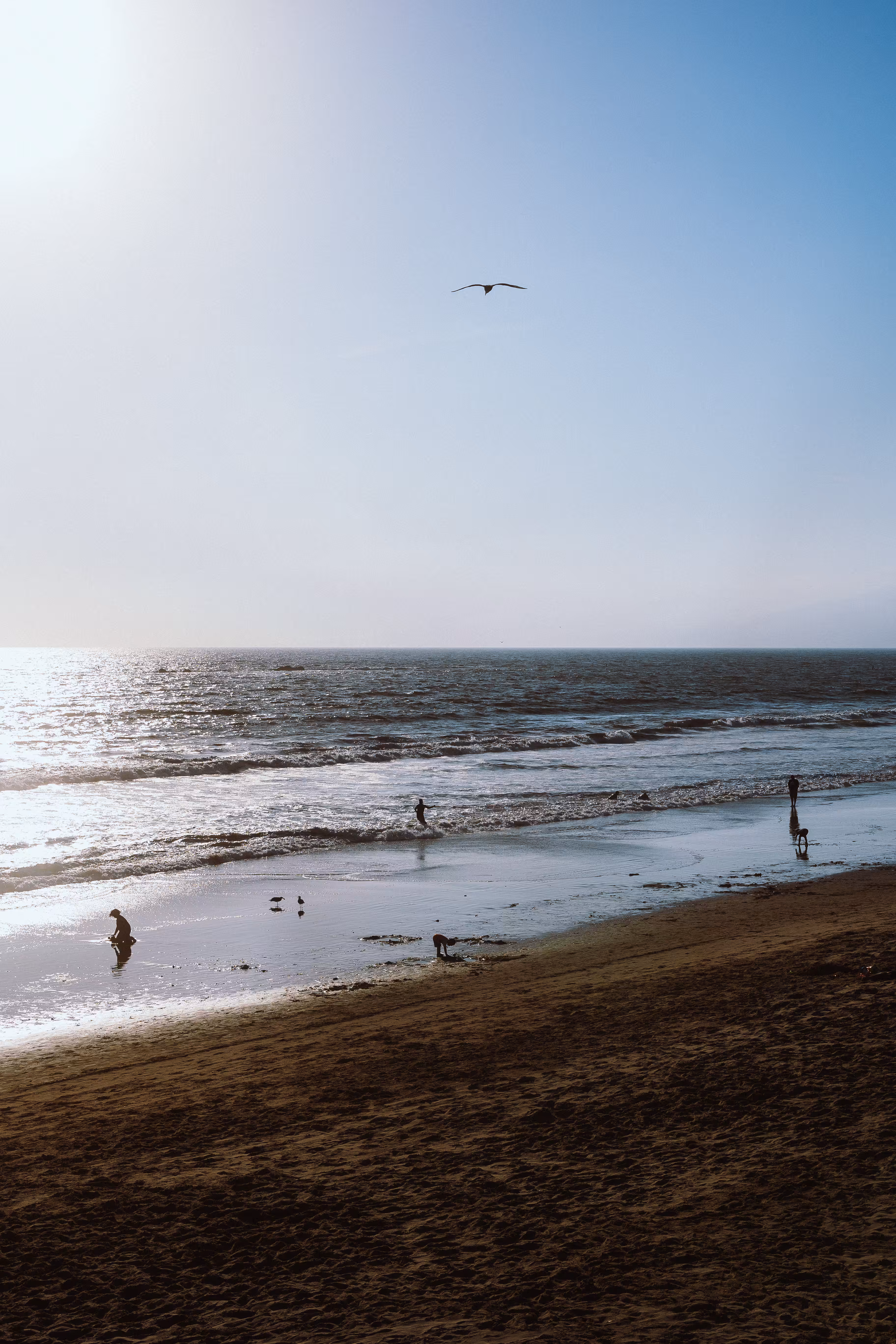 Peace+Solitude
