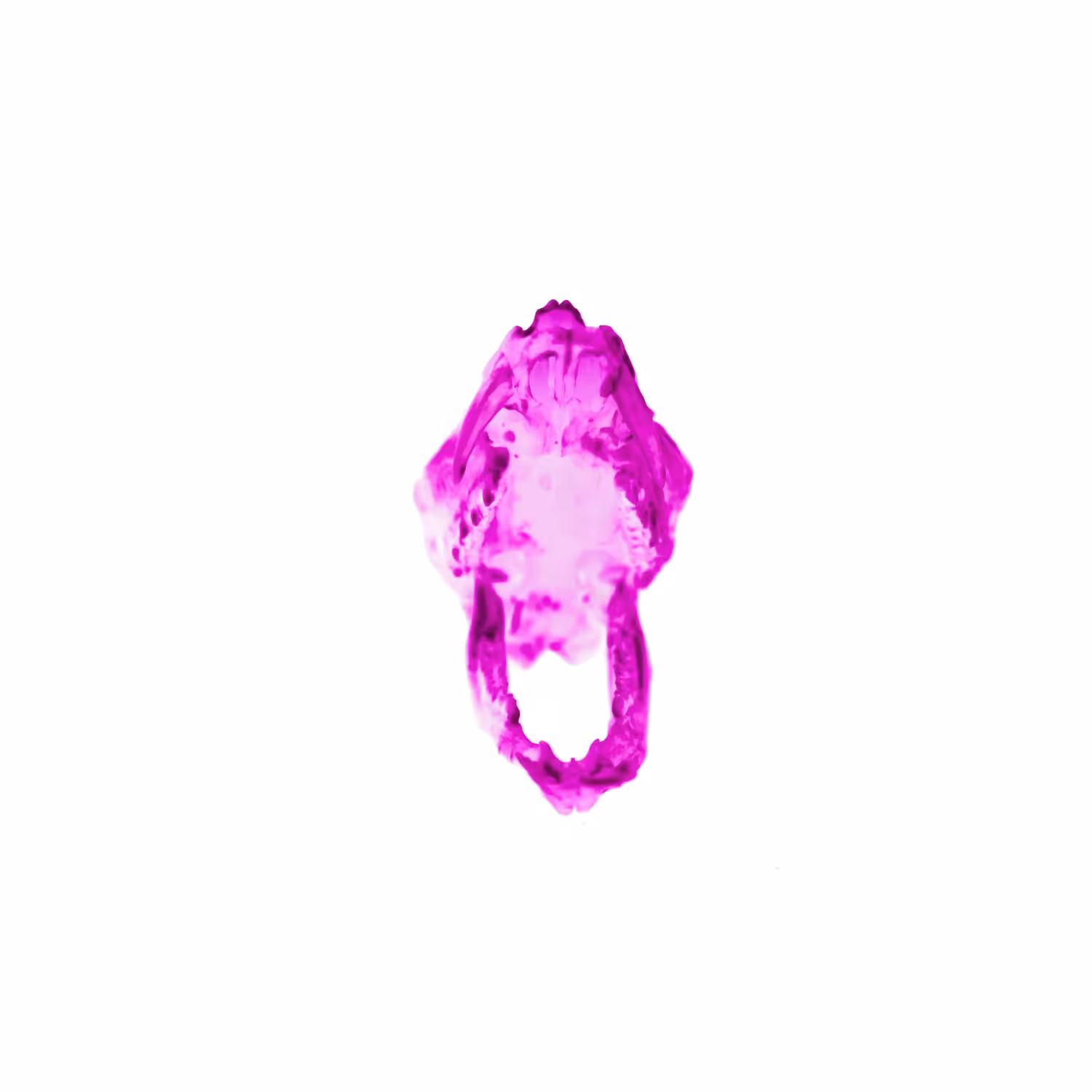 Radioactive Roadkill Pink Gamma (Muntjac)