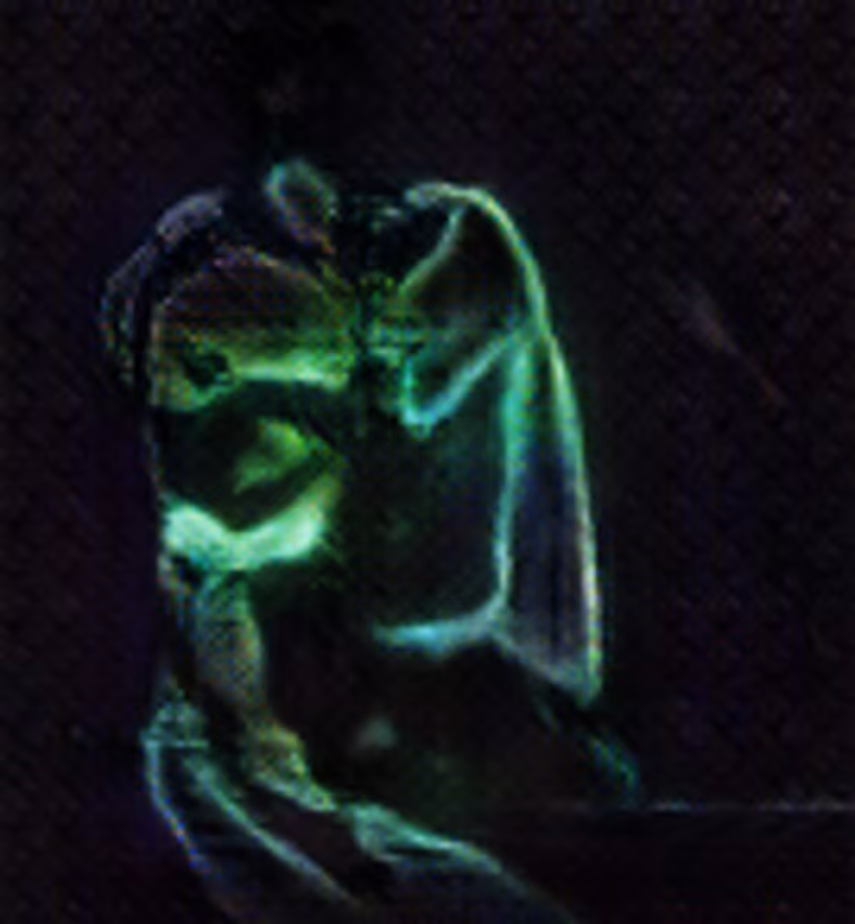The Kiss