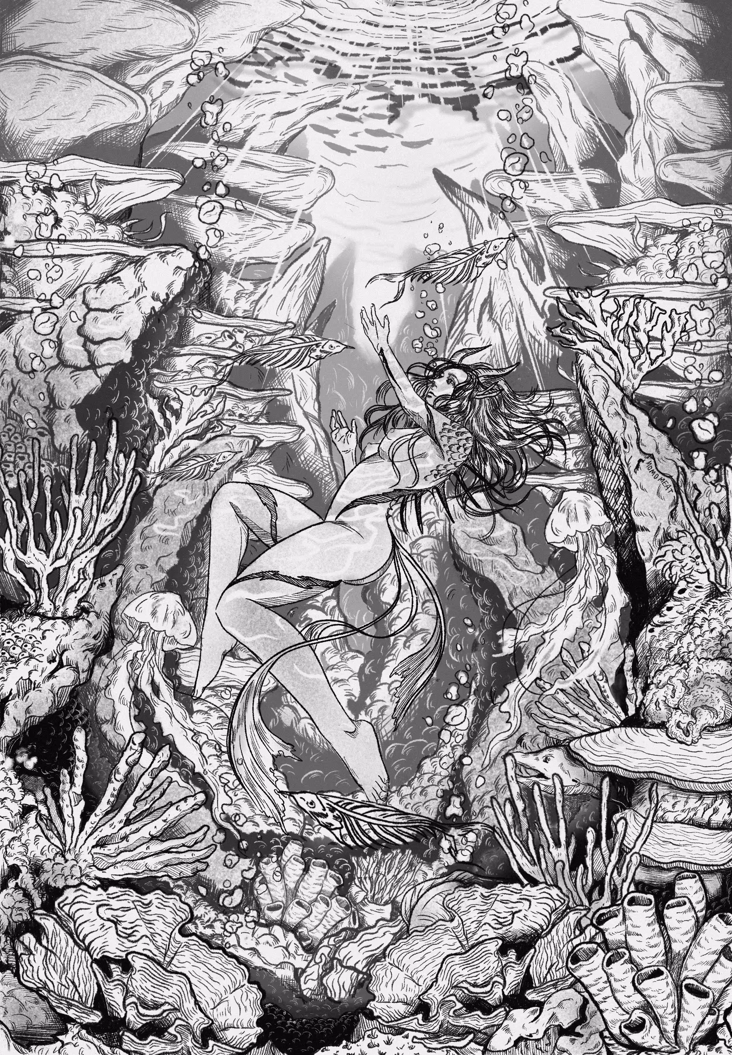 Calypso Garden